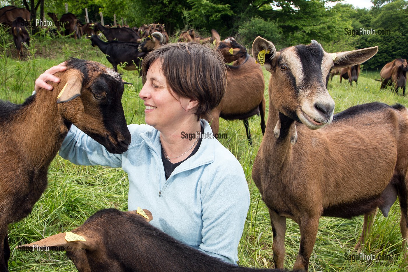 SYLVIE LHOSTE, ELEVEUSE, AU MILIEU DE SES CHEVRES, ELEVAGE DE CHEVRES, A LA FERME DE LA HUTTE, LONGNY-AU-PERCHE, ORNE (61), FRANCE 