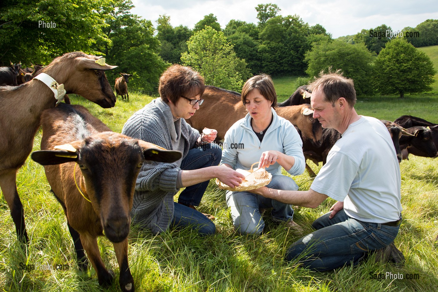 SYLVIE ET CHRISTOPHE LHOSTE, ELEVEURS, DEGUSTANT DES FROMAGES, EN COMPAGNIE DE NATHALIE DE WEVER, COMMERCANTE ADHERENTE DU MOUVEMENT LOCAVORE, ELEVAGE DE CHEVRES DE LA FERME DE LA HUTTE, LONGNY-AU-PERCHE, ORNE (61), FRANCE 