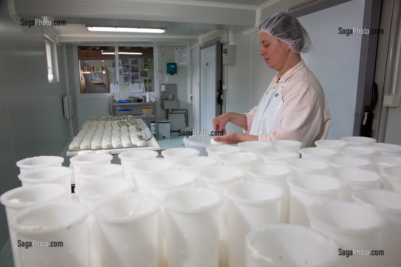 SYLVIE LHOSTE, ELEVEUSE DE CHEVRES ET FROMAGERE, PROCEDANT AU SALAGE DE SES FROMAGES, FROMAGERIE ARTISANALE DE LA FERME DE LA HUTTE, LONGNY-AU-PERCHE, ORNE (61), FRANCE 