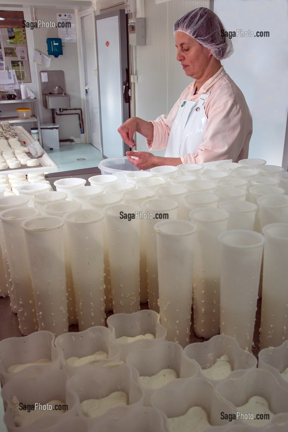 SYLVIE LHOSTE, ELEVEUSE DE CHEVRES ET FROMAGERE, PROCEDANT AU SALAGE DE SES FROMAGES, FROMAGERIE ARTISANALE DE LA FERME DE LA HUTTE, LONGNY-AU-PERCHE, ORNE (61), FRANCE 