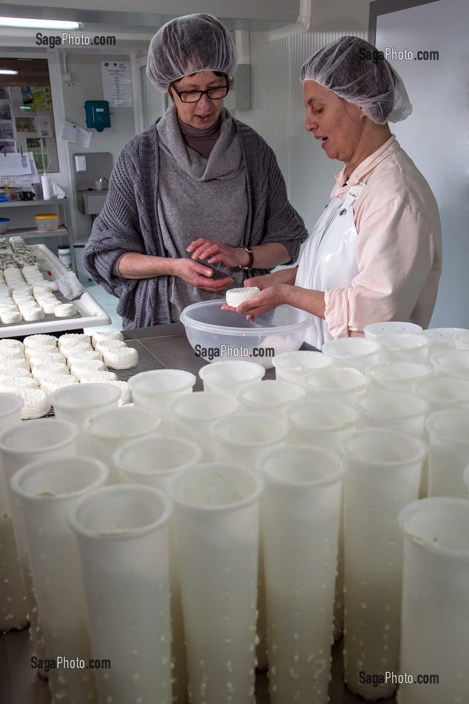 SYLVIE LHOSTE, ELEVEUSE DE CHEVRES ET FROMAGERE, PROCEDANT AU SALAGE DE SES FROMAGES, EN COMPAGNIE DE NATHALIE DE WEVER, COMMERCANTE ADHERENTE DU MOUVEMENT LOCAVORE, FROMAGERIE ARTISANALE DE LA FERME DE LA HUTTE, LONGNY-AU-PERCHE, ORNE (61), FRANCE 