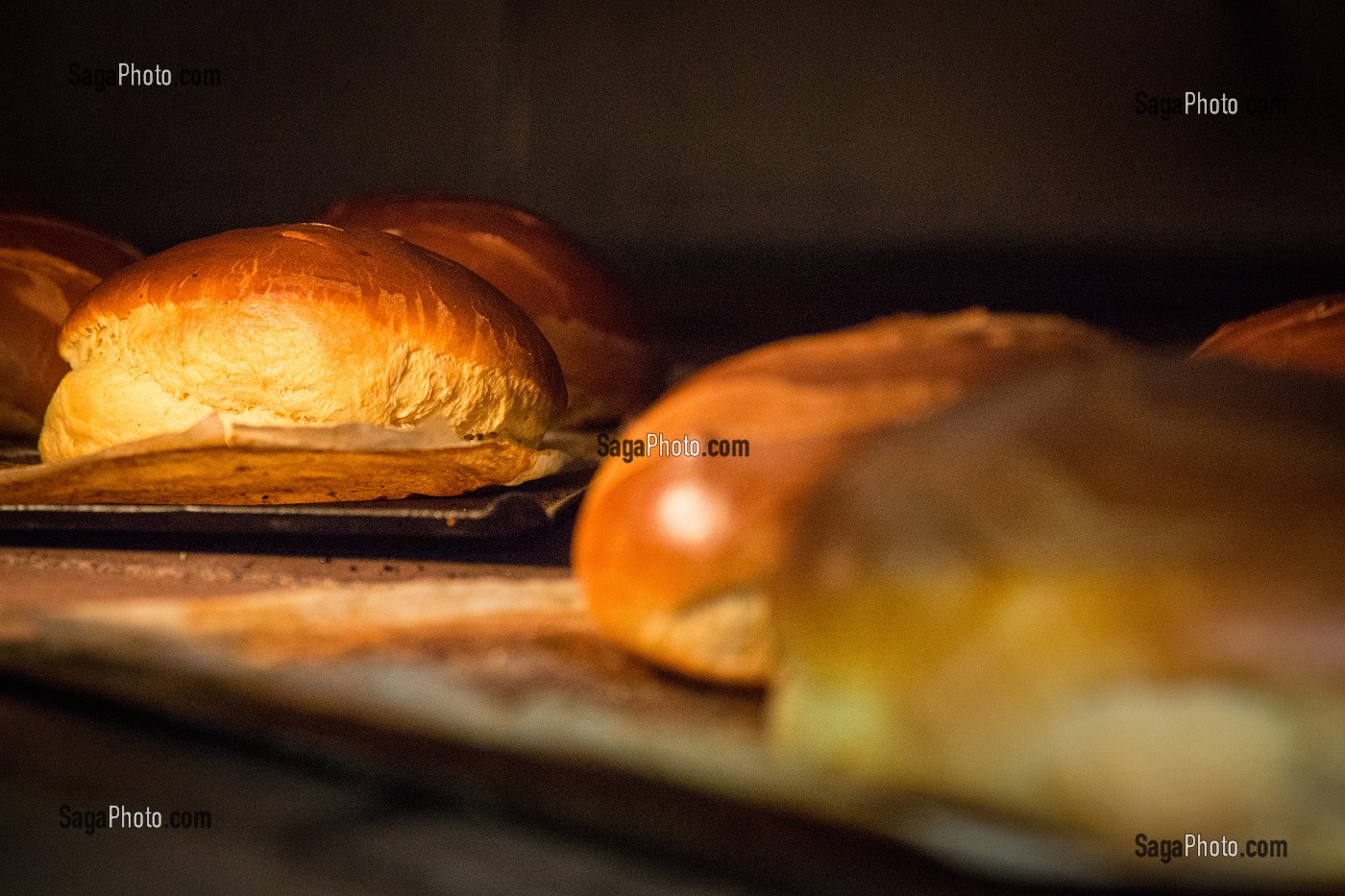 BRIOCHES CUITES DANS UN FOUR A BOIS, BOULANGERIE DE PAIN BIO DE LA FERME DE SAINT-MAMERT, BUIS-SOUS-DANVILLE, EURE (27), FRANCE 