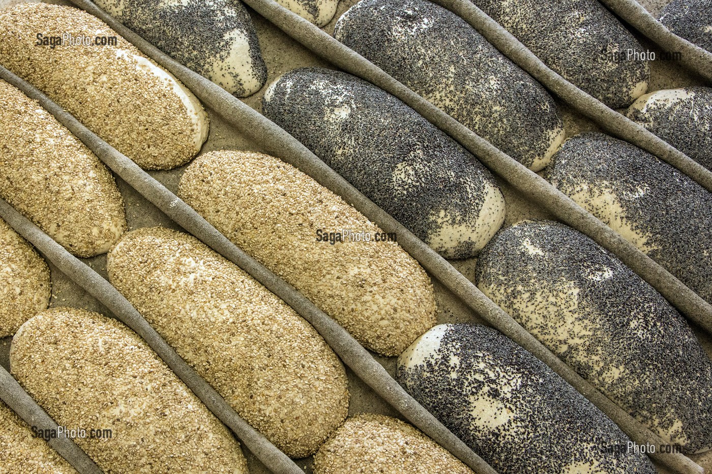PAINS BIO AUX GRAINES DE SESAME ET DE PAVOT, AVANT LA CUISSON AU FOUR A BOIS, BOULANGERIE DE LA FERME DE SAINT-MAMERT, BUIS-SOUS-DANVILLE, EURE (27), FRANCE 