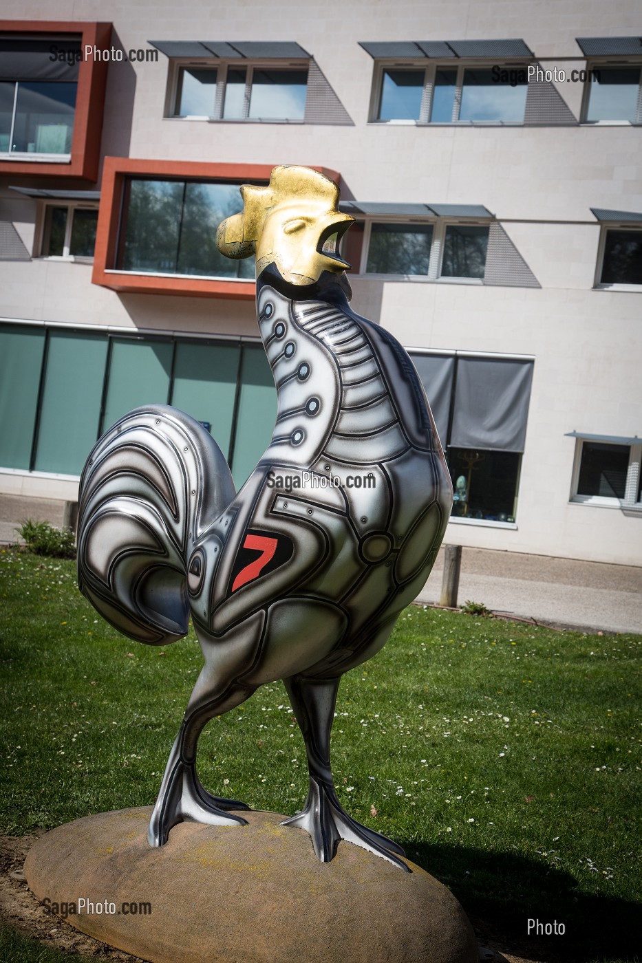 COQ SPORTIF, SCULPTURE INSTALLEE DEVANT LES HEBERGEMENTS DE L'EQUIPE DE FRANCE, CENTRE NATIONAL DE RUGBY (CENTRE D'ENTRAINEMENT ET DE PREPARATION), LINAS-MARCOUSSIS, ESSONNE (91), FRANCE 