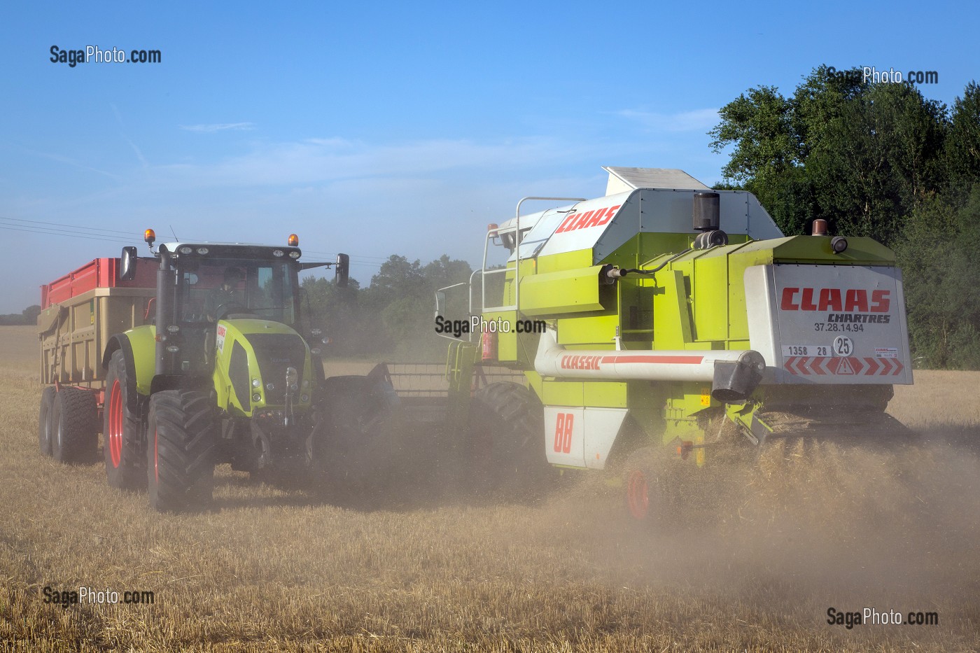 MOISSON DU BLE DUR POUR LES PATES ALIMENTAIRE DANS LA BEAUCE, EURE-ET-LOIR (28), FRANCE 