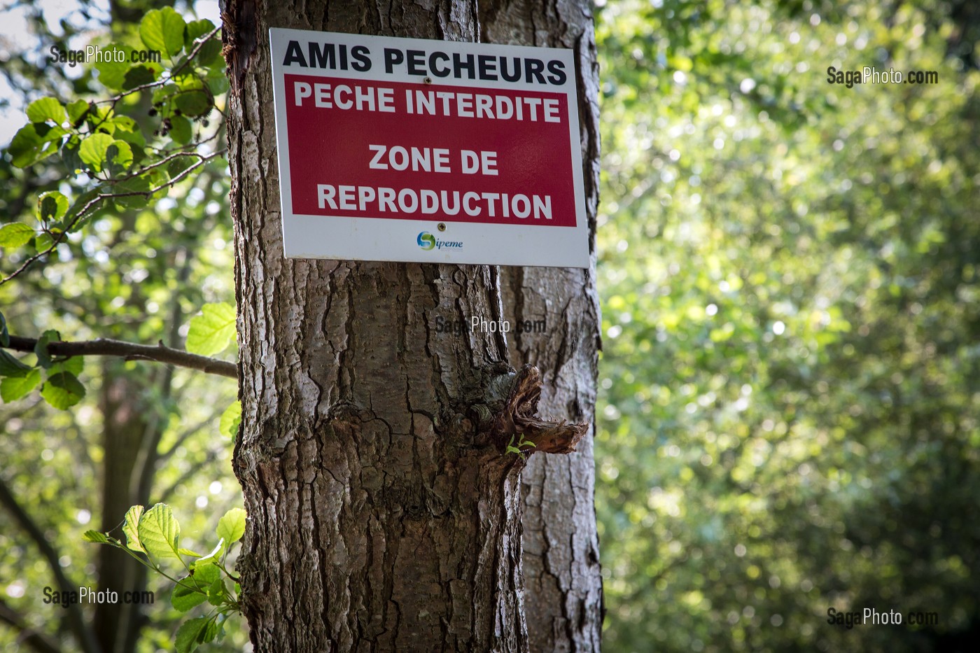 PANNEAU DE PECHE INTERDITE POUR ZONE DE REPRODUCTION, PLAN D'EAU DE MEZIERES-ECLUZELLES, MEZIERES-EN-DROUAIS, EURE-ET-LOIR (28), FRANCE 