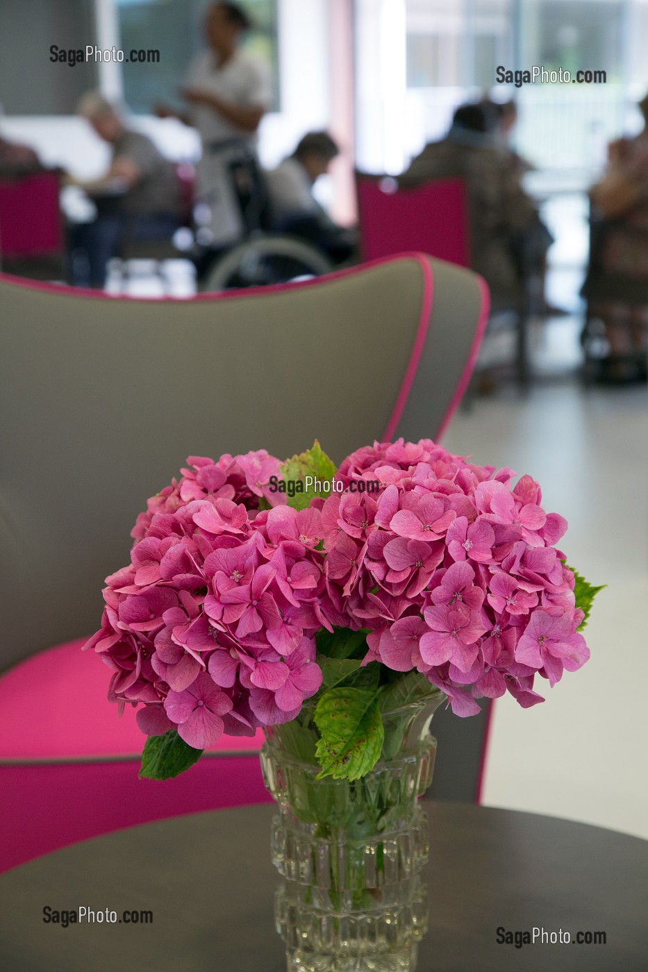 SALON DE DETENTE ET DE RECEPTION DES FAMILLES, EHPAD ANDRE COUTURIER, ETABLISSEMENT PUBLIC DU SUD DE L'EURE, HEBERGEMENT POUR PERSONNES AGEES INDEPENDANTES, RUGLES, EURE (27), FRANCE 