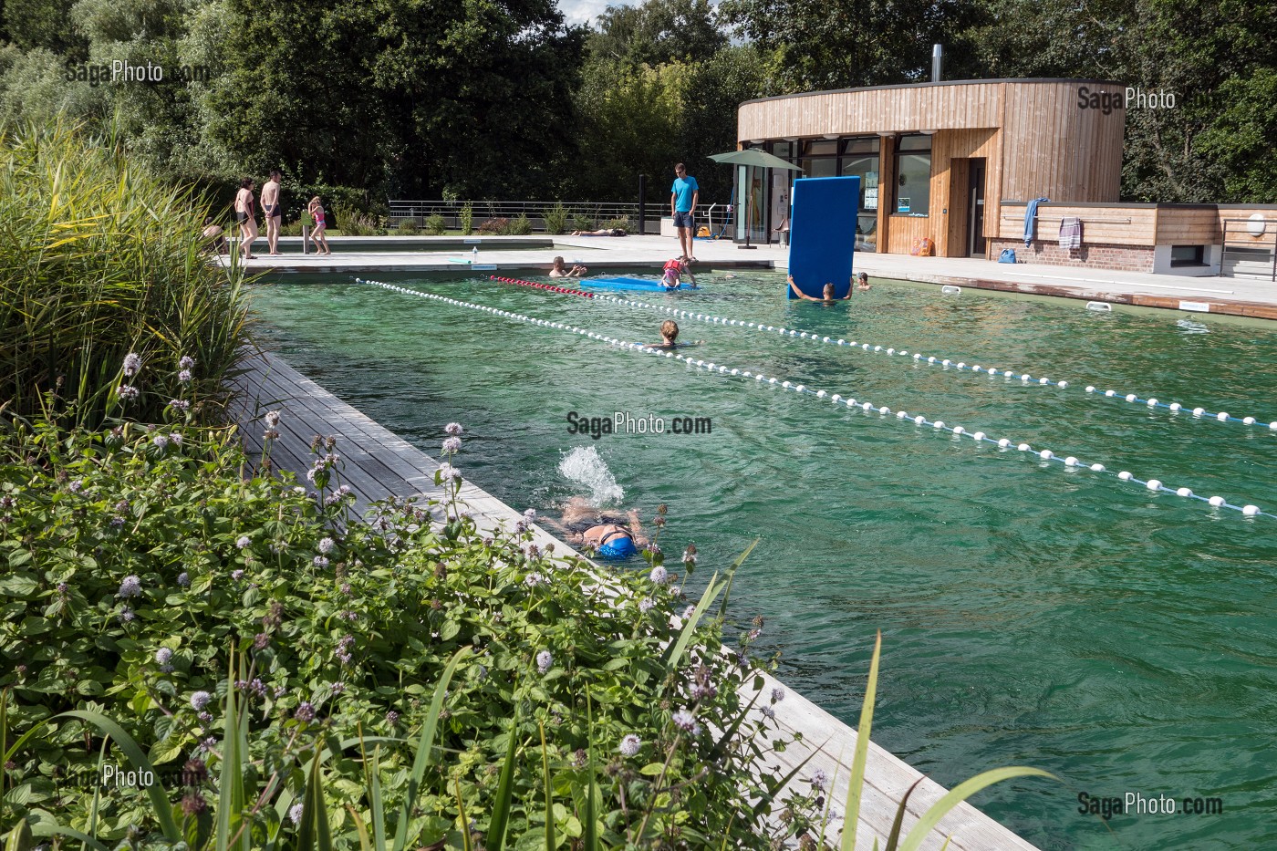 PISCINE CANTONALE AVEC SON BASSIN DE BAIGNADE BIOLOGIQUE ET ECOLOGIQUE AVEC FILTRATION NATURELLE PAR LES PLANTES AQUATIQUES ET CHAUFFAGE SOLAIRE, VILLE DE RUGLES (27), FRANCE 