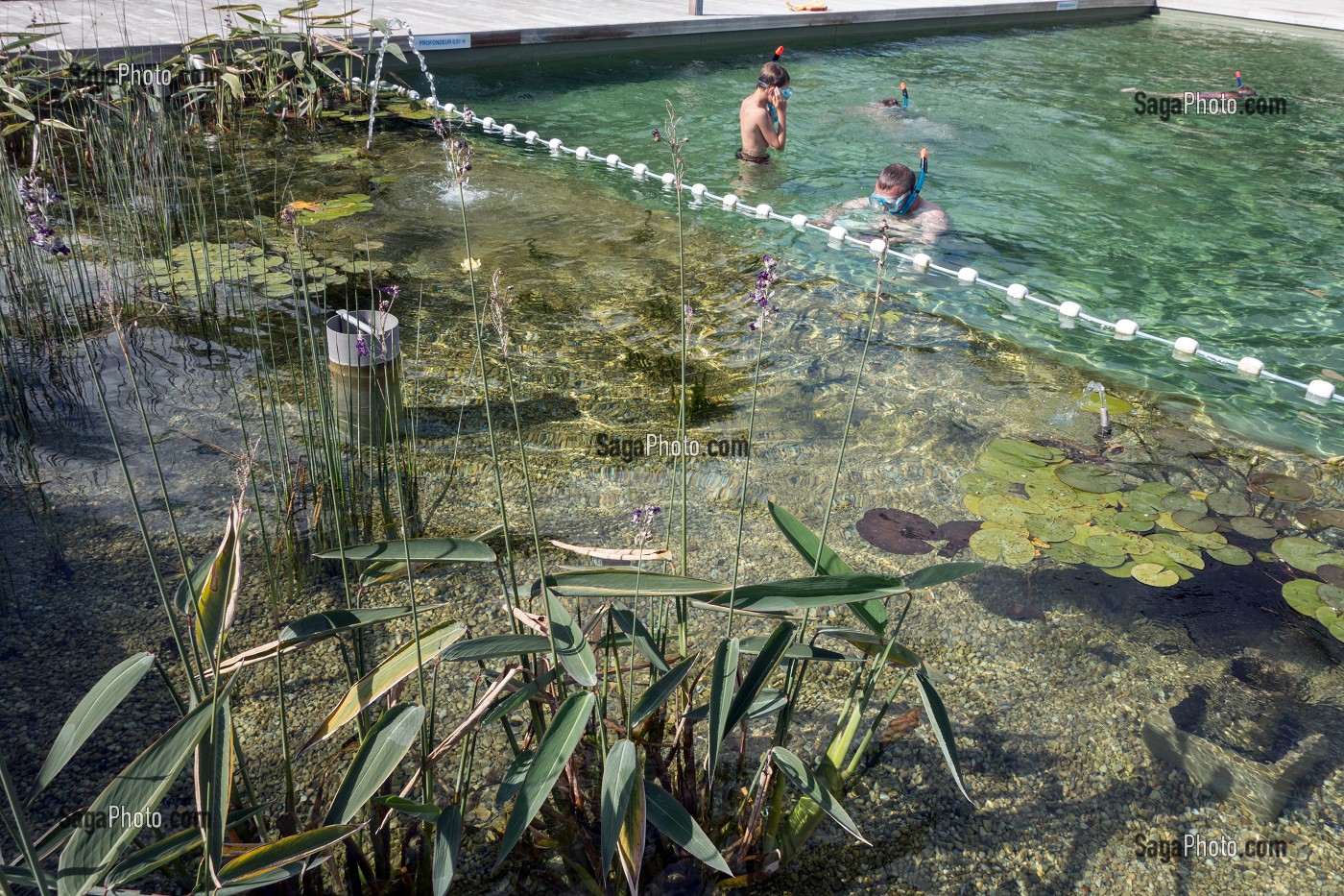 PISCINE CANTONALE AVEC SON BASSIN DE BAIGNADE BIOLOGIQUE ET ECOLOGIQUE AVEC FILTRATION NATURELLE PAR LES PLANTES AQUATIQUES ET CHAUFFAGE SOLAIRE, VILLE DE RUGLES (27), FRANCE 