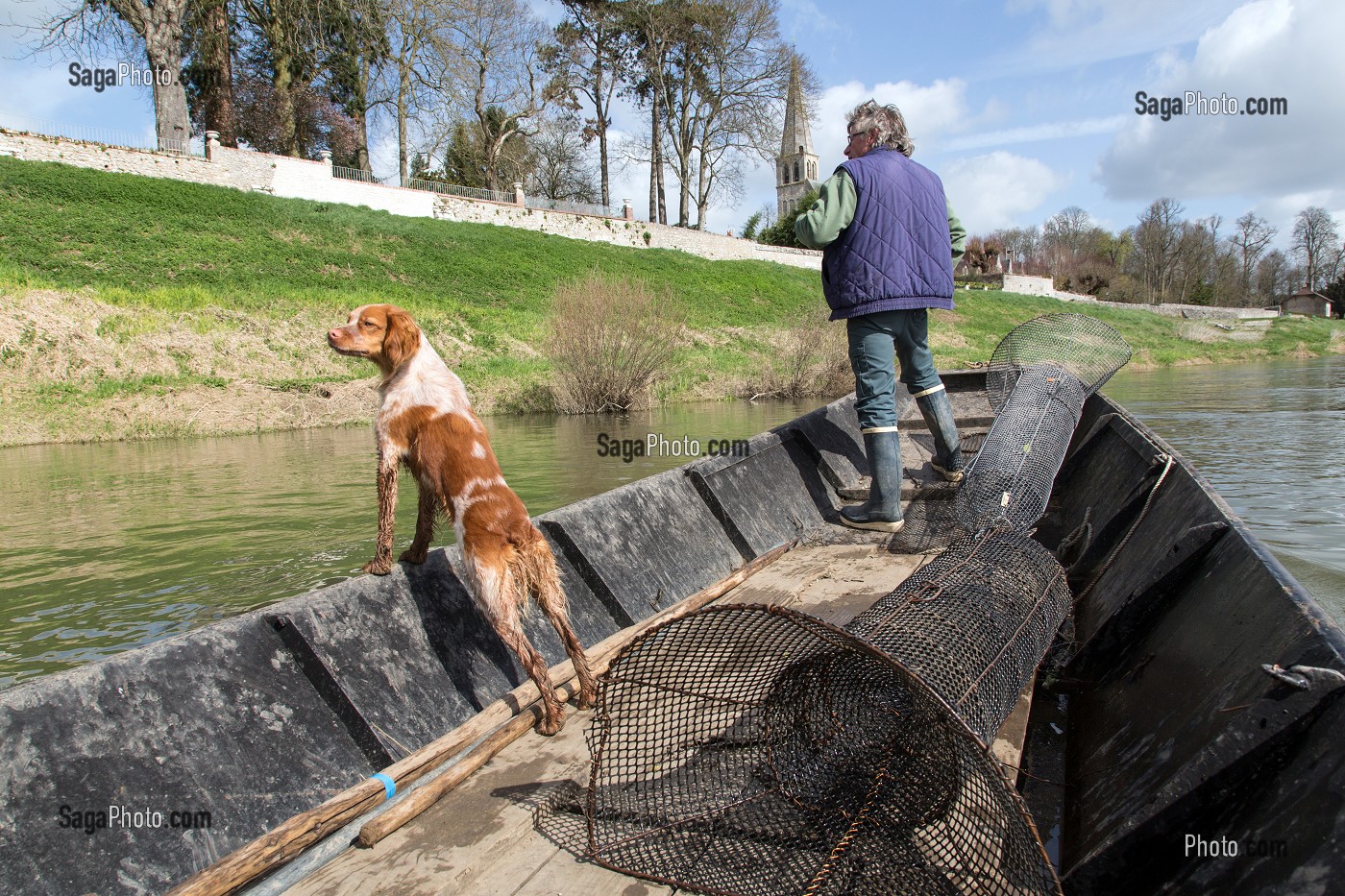 PECHEUR D'ANGUILLES ET SON CHIEN EPAGNEUL BRETON SUR SA BARQUE A FOND PLAT, LA LOIRE ENTRE MONTLIVAULT ET COUR-SUR-LOIRE, (41) LOIR-ET-CHER, FRANCE 