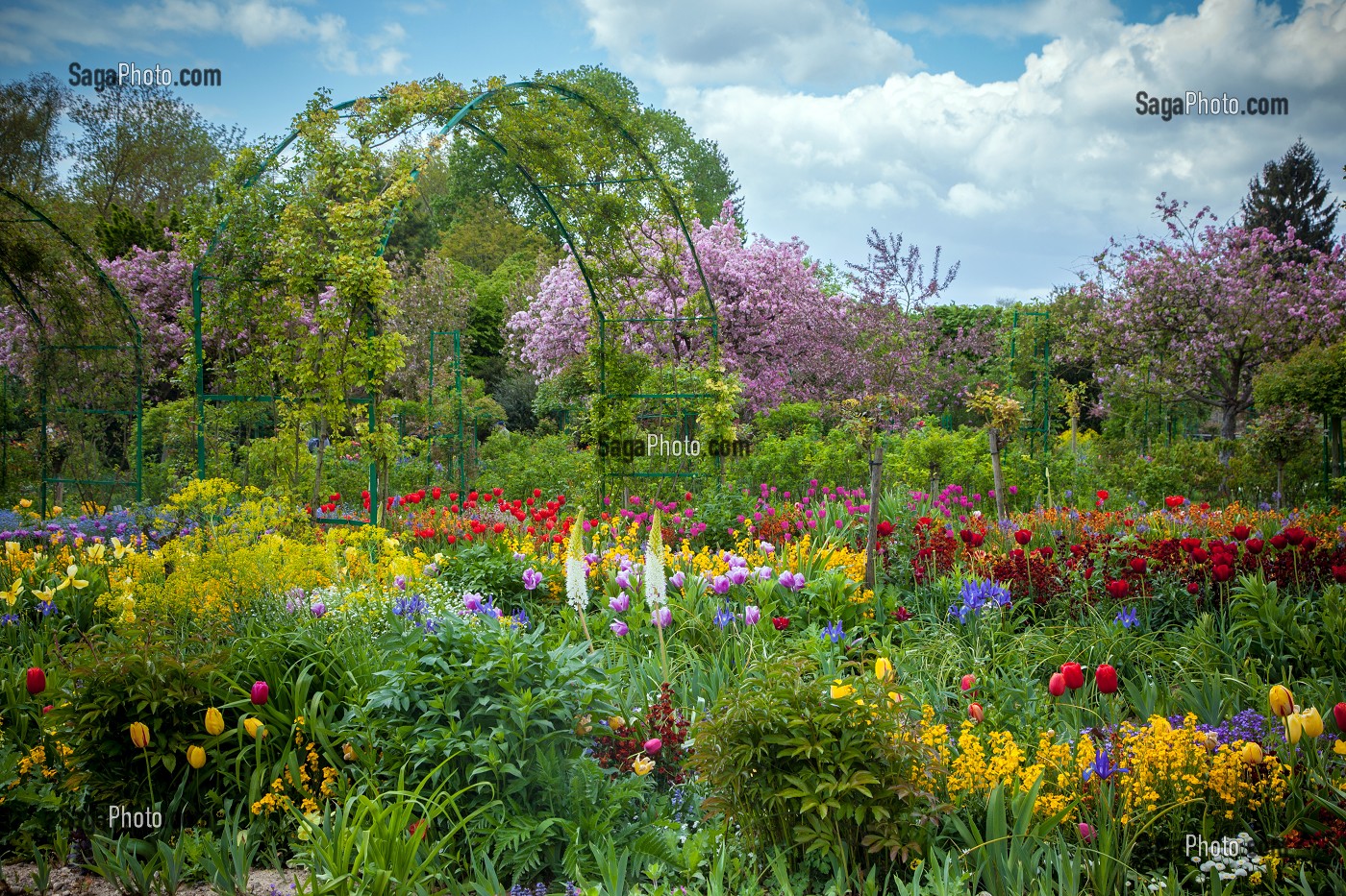 JARDIN DU CLOS NORMAND DE LA MAISON DU PEINTRE IMPRESSIONNISTE CLAUDE MONET, GIVERNY, EURE (27), NORMANDIE, FRANCE 