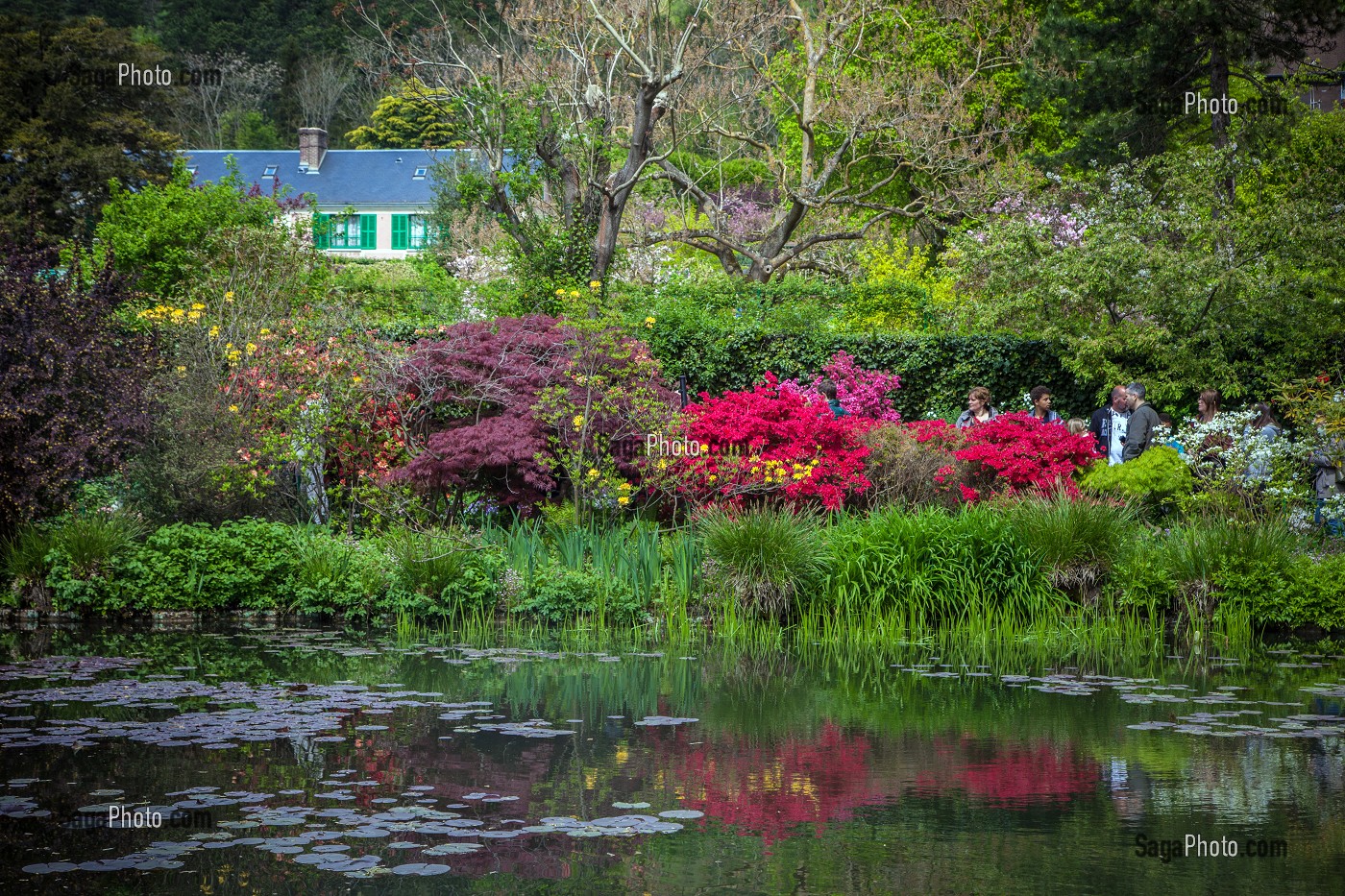 JARDIN DU CLOS NORMAND DE LA MAISON DU PEINTRE IMPRESSIONNISTE CLAUDE MONET, GIVERNY, EURE (27), NORMANDIE, FRANCE 