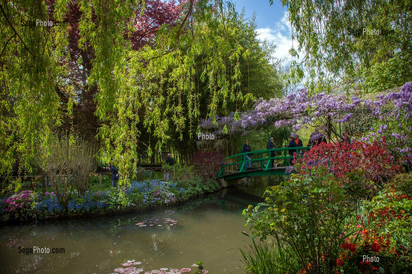 JARDIN DU CLOS NORMAND DE LA MAISON DU PEINTRE IMPRESSIONNISTE CLAUDE MONET, GIVERNY, EURE (27), NORMANDIE, FRANCE 