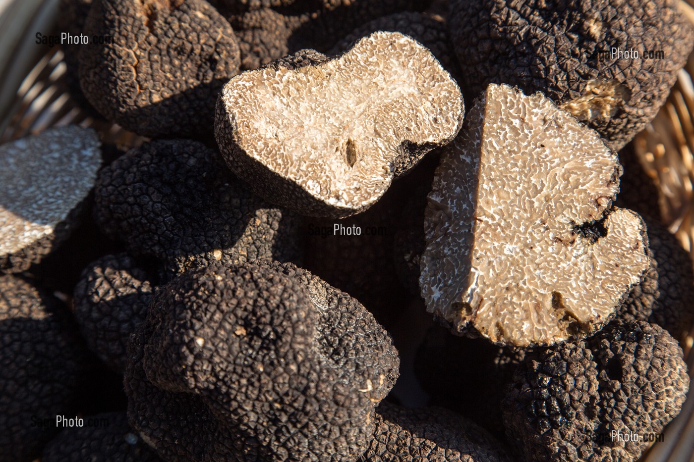 TRUFFE DE LA SAINT-JEAN (PRINTEMPS), PUJAUT, GARD (30), FRANCE 