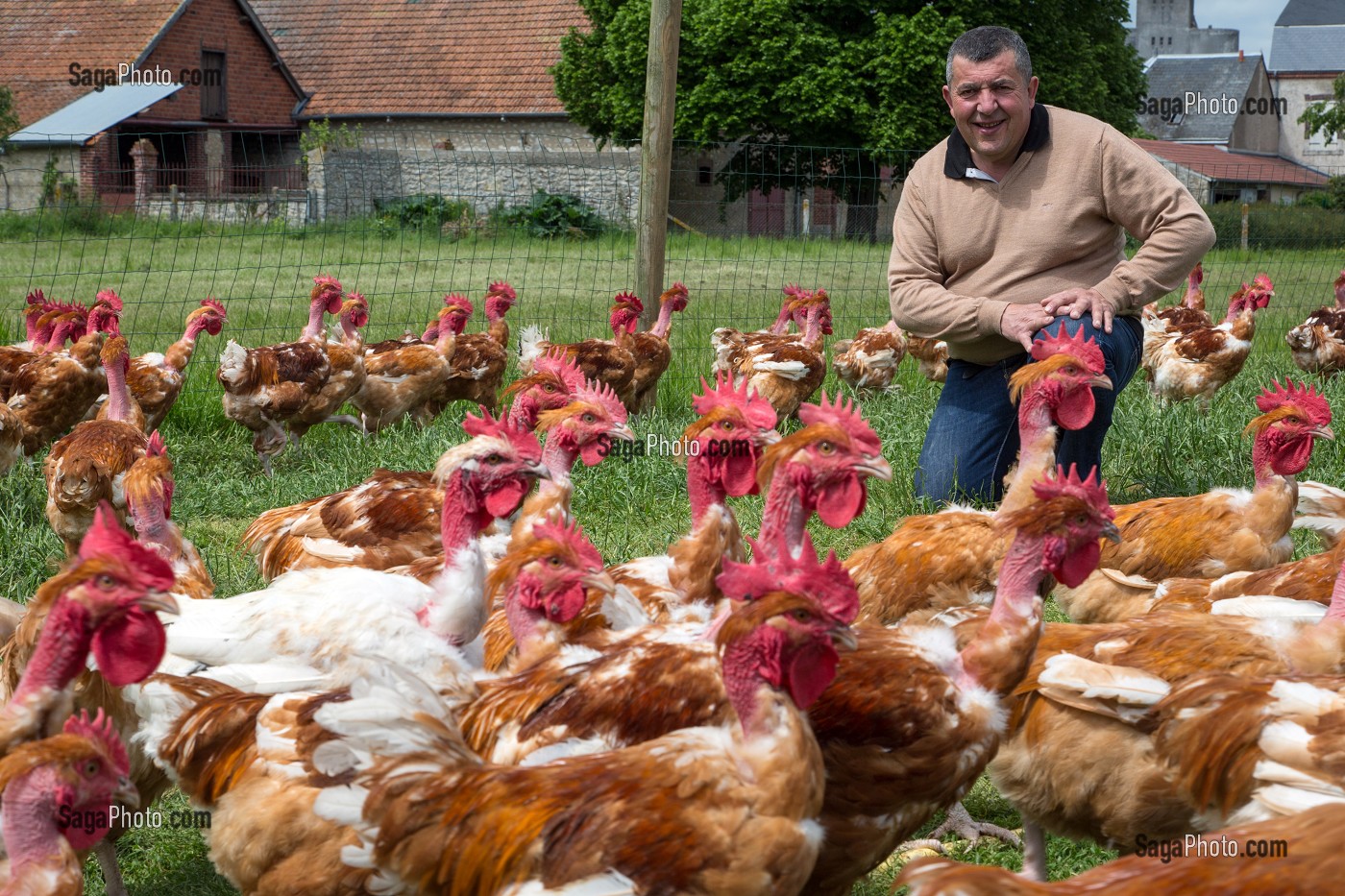 DIDIER GRANDVILLAIN DANS SON ELEVAGE DE POULETS EN PLEIN AIR, PRODUITS DE TERROIR DE TERRES D'EURE-ET-LOIR, ORGERES-EN-BEAUCE (28), FRANCE 