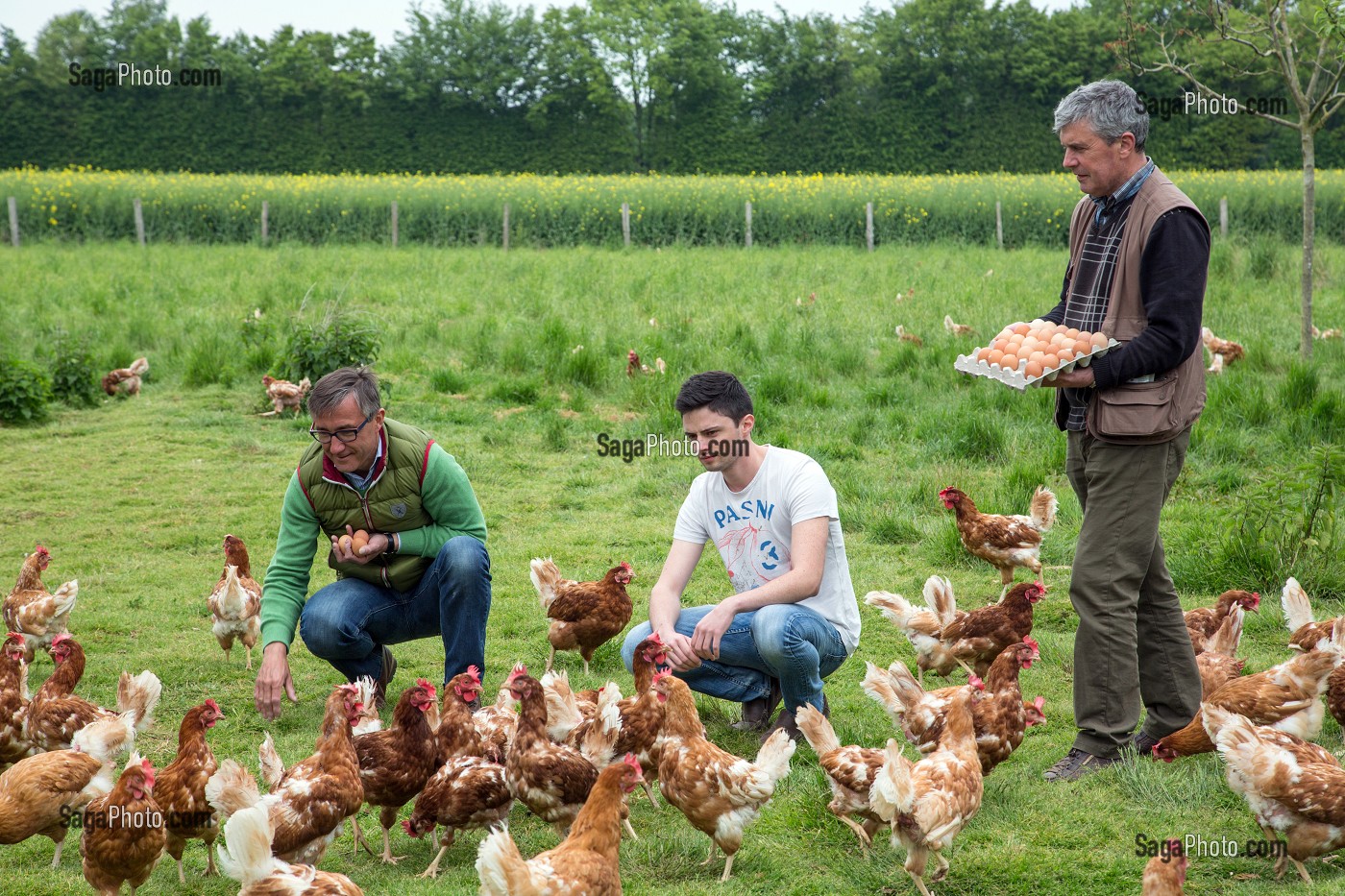 LAURENT CLEMENT, CHEF ETOILE DU COURS GABRIEL ET BRUNO DEBRAY AVEC SON FILS, ELEVEUR DE POULES ET PRODUCTEUR D'OEUFS EN PLEIN AIR, PRODUITS DE TERROIR DE TERRES D'EURE-ET-LOIR, LA CROIX DU PERCHE (28), FRANCE 