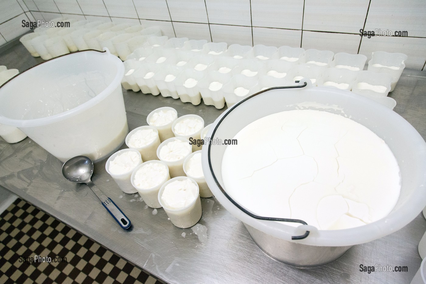 FABRICATION DE FROMAGES DE CHEVRES CHEZ YOLANDE MOREAU, PRODUITS DE TERROIR DE TERRES D'EURE-ET-LOIR, FRETIGNY (28), FRANCE 
