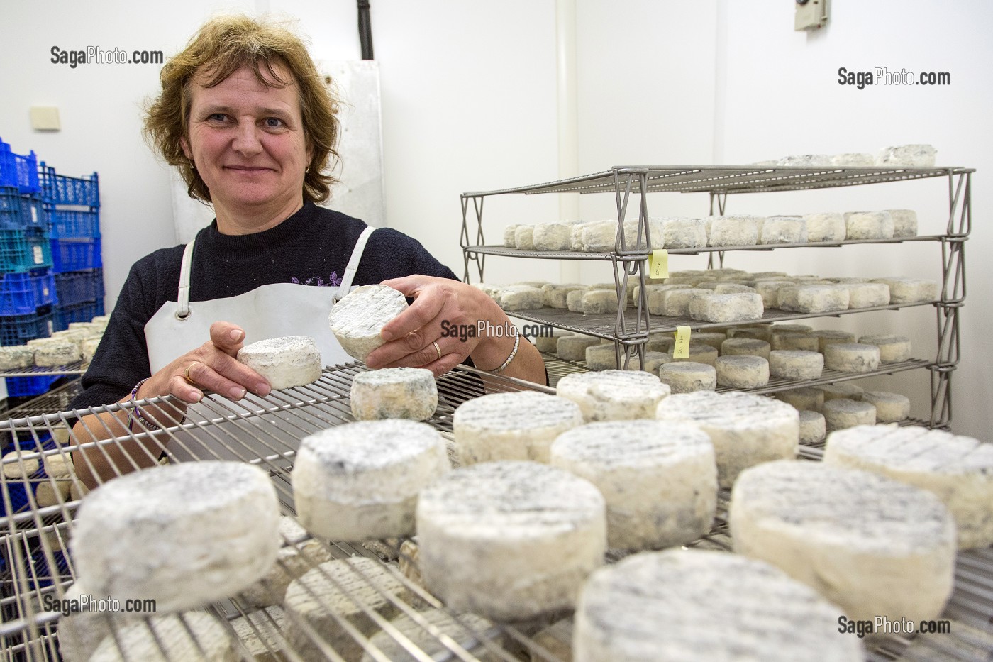 YOLANDE MOREAU, ELEVEUSE DE CHEVRES ET PRODUCTEUR DE FROMAGES, PRODUITS DE TERROIR DE TERRES D'EURE-ET-LOIR, FRETIGNY (28), FRANCE 