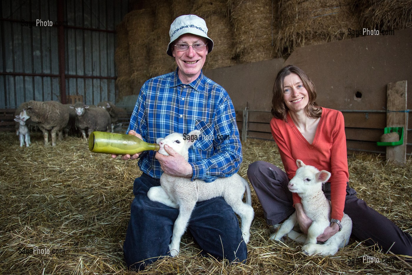 VIRGINIE ET ALAIN HERBEAUX (PERE ET FILLE), ELEVEURS EN FAMILLE DE MOUTONS ET D'AGNEAUX, PRODUITS DE TERROIR DE TERRES D'EURE-ET-LOIR, SAINT-ARNOULT-DES-BOIS (28), FRANCE 