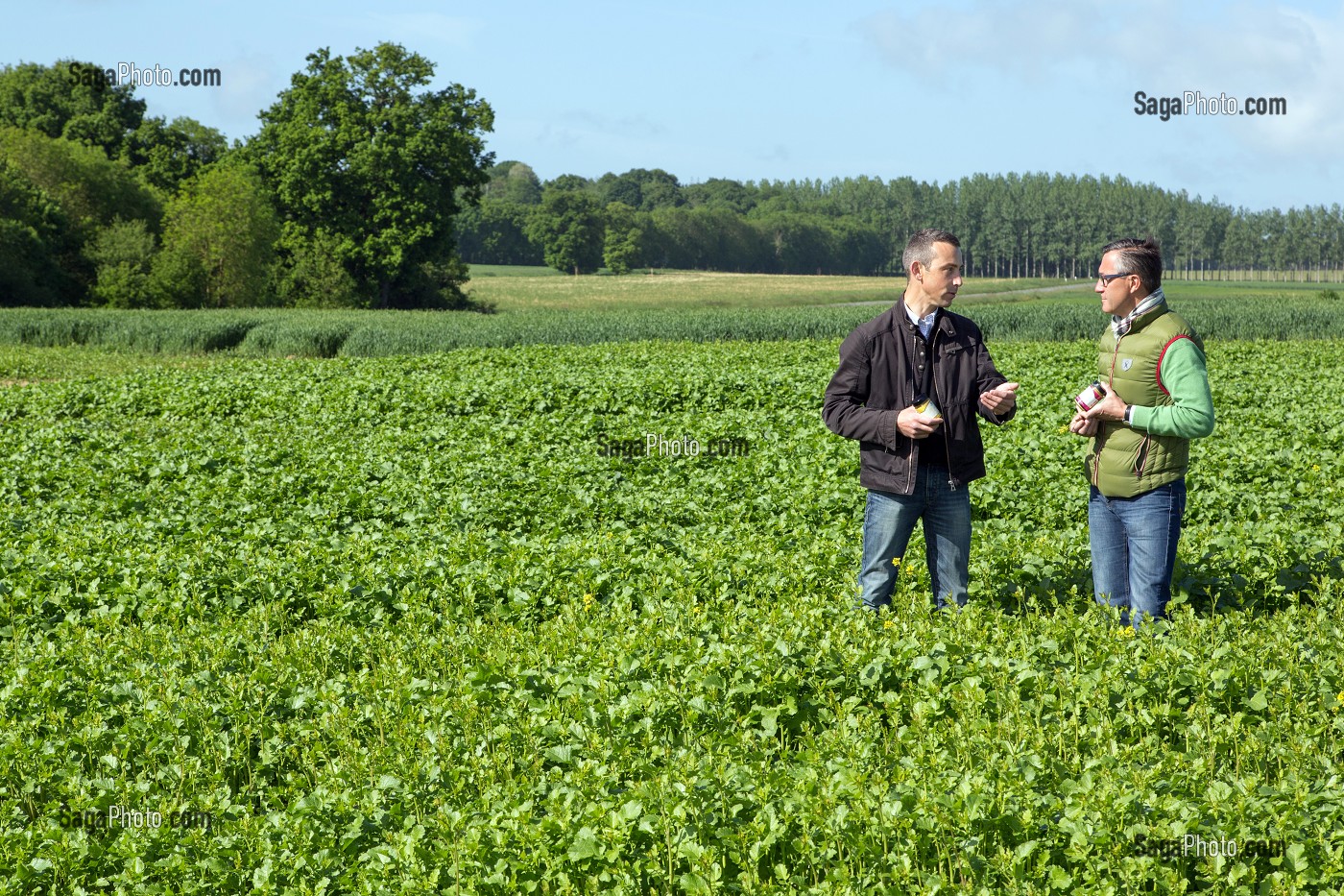 LAURENT CLEMENT, CHEF ETOILE DU COURS GABRIEL ET LAURENT DELATOUCHE, PRODUCTEURS DE LENTILLES, PRODUITS DE TERROIR DE TERRES D'EURE-ET-LOIR, CORENCEZ (28), FRANCE 