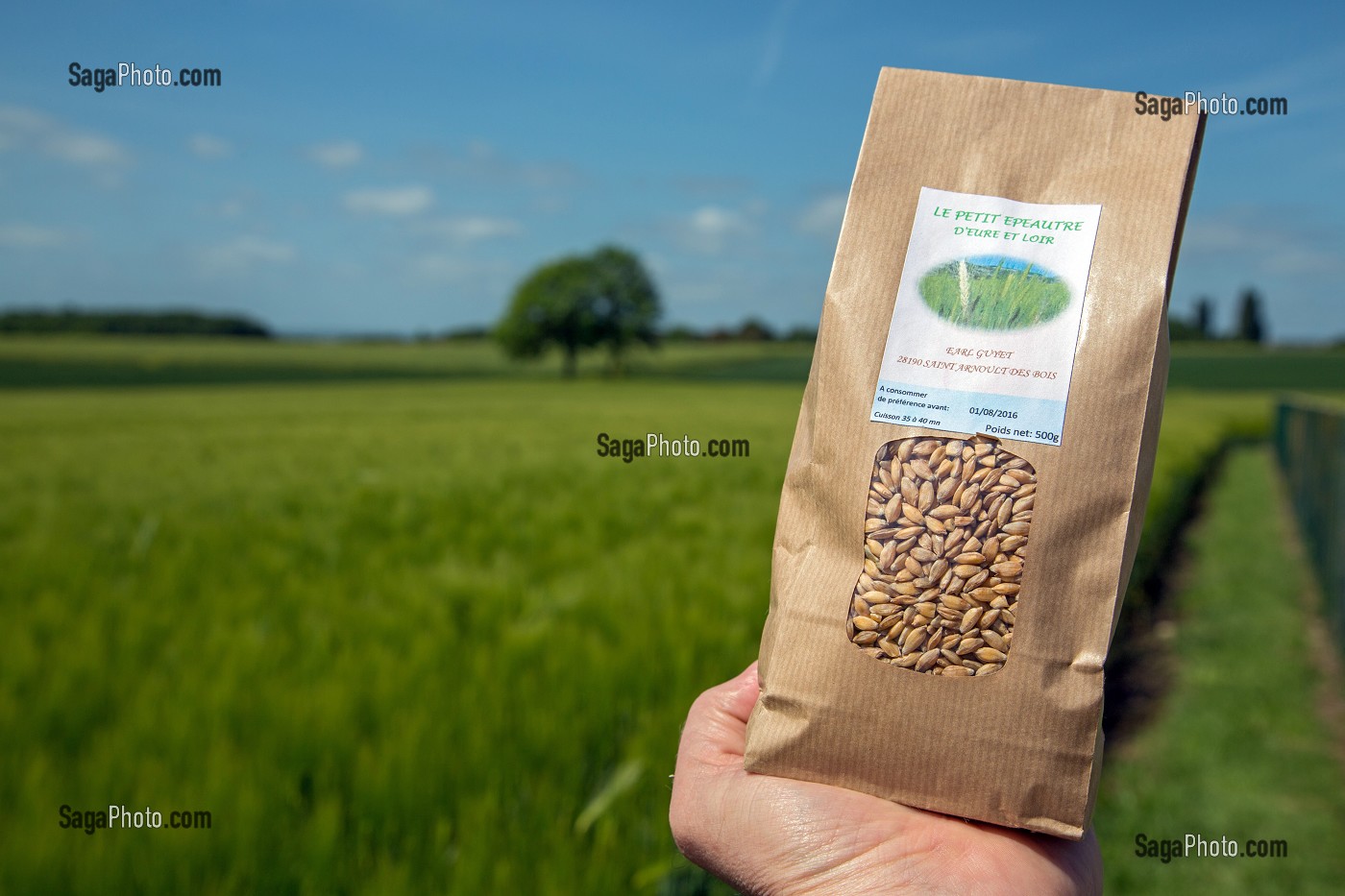 SACHET D'EPEAUTRE DE JEAN-PHILIPPE ET NADINE GUYET, AGRICULTEUR ET PRODUCTEUR D'EPEAUTRE DANS SON CHAMP, PRODUITS DE TERROIR DE TERRES D'EURE-ET-LOIR, SAINT-ARNOULT-DES-BOIS (28), FRANCE 