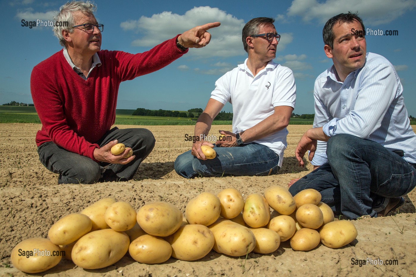 LAURENT CLEMENT, CHEF ETOILE DU COURS GABRIEL ET ERIC ET MATHIEU BONNET (PERE ET FILS), PRODUCTEURS DE POMMES DE TERRE, PRODUITS DE TERROIR DE TERRES D'EURE-ET-LOIR, DIGNY (28), FRANCE 