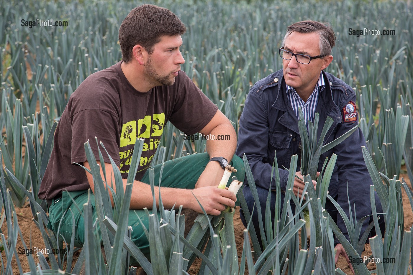 LAURENT CLEMENT, CHEF DE L'HOTEL RESTAURANT LE GRAND MONARQUE, EN COMPAGNIE Du PRODUCTEUR MARAICHER ALEXANDRE MORNAS, SUR LEUR EXPLOITATION MARAICHERE BIOLOGIQUE AUX PETITS LEGUMES, BERCHERES-LES-PIERRES, EURE-ET-LOIR (28), FRANCE 