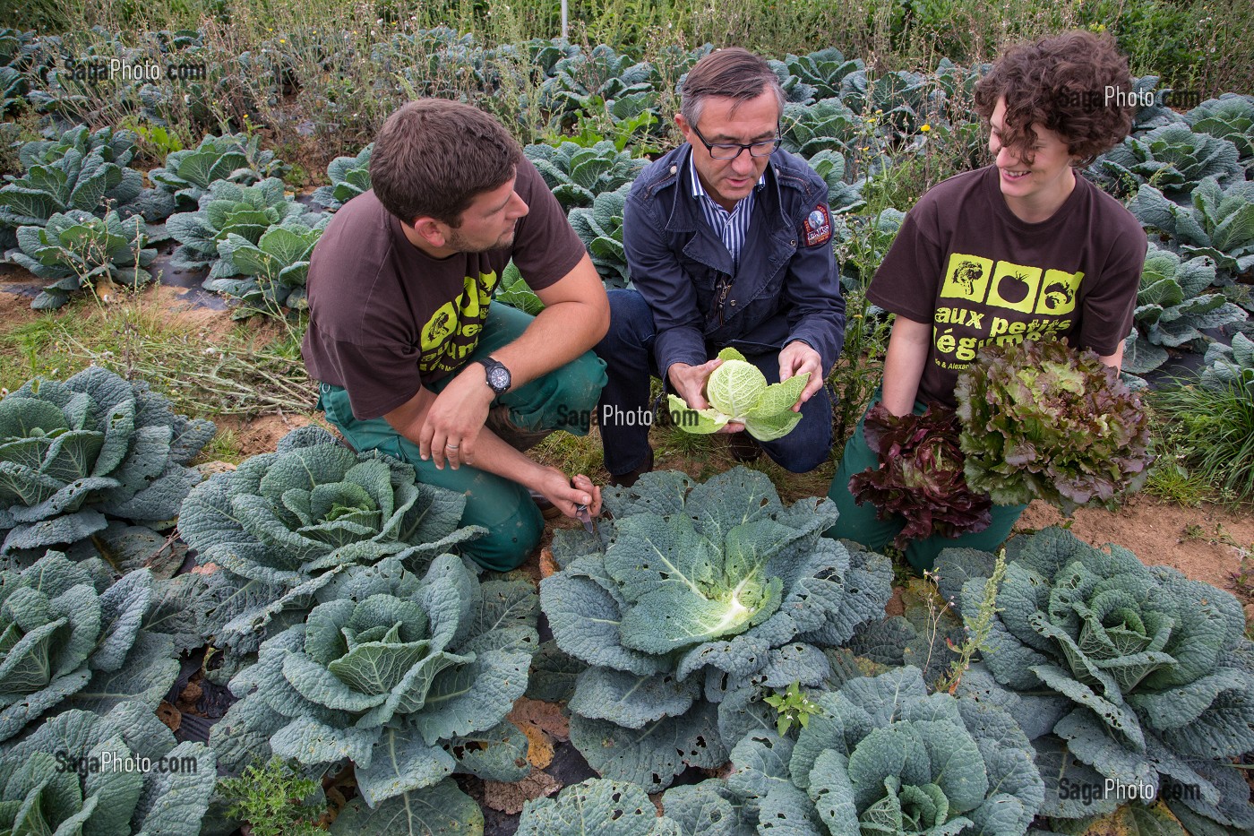 LAURENT CLEMENT, CHEF DE L'HOTEL RESTAURANT LE GRAND MONARQUE, EN COMPAGNIE DES MARAICHERS ALEXANDRE ET AUDE MORNAS, SUR LEUR EXPLOITATION MARAICHERE BIOLOGIQUE AUX PETITS LEGUMES, BERCHERES-LES-PIERRES, EURE-ET-LOIR (28), FRANCE 