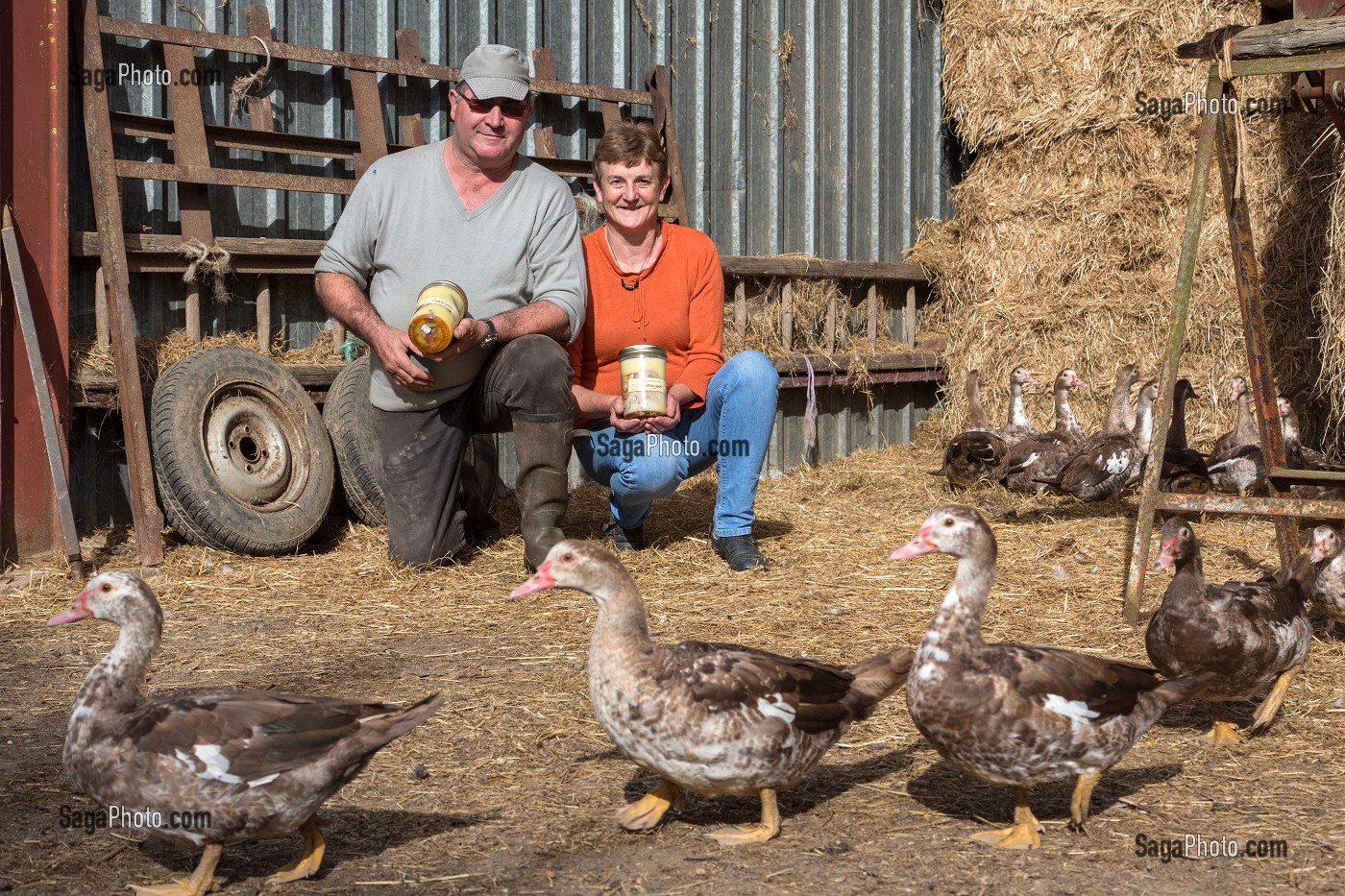 MR ET MME VILLEDIEU JOEL, ELEVEURS DE VOLAILLES ET FABRICANT DE FOIE GRAS DE CANARD, BIENVENUE A LA FERME, PRODUITS DE TERROIR DE TERRES D'EURE-ET-LOIR, SAUMERAY (28), FRANCE 