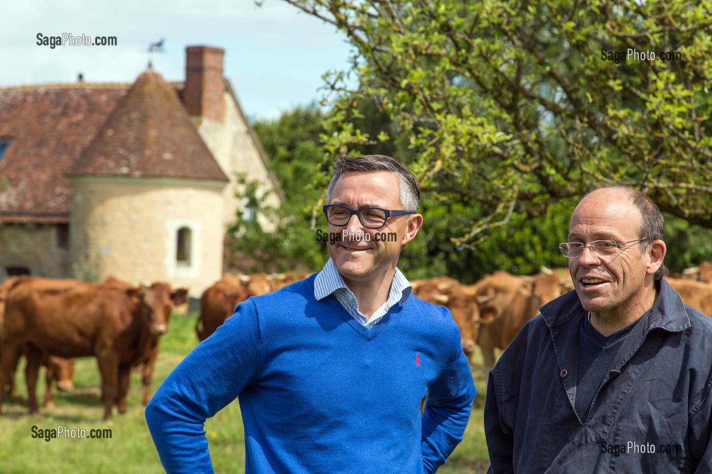 LAURENT CLEMENT, CHEF ETOILE DU COURS GABRIEL ET ELEVEUR JEAN-EDOUARD JEAUNEAU, ELEVAGE DE BOEUF ET VACHES LIM-ANGUS ET LIMOUSINE, PRODUITS DE TERROIR, LES ETILLEUX (28), FRANCE 