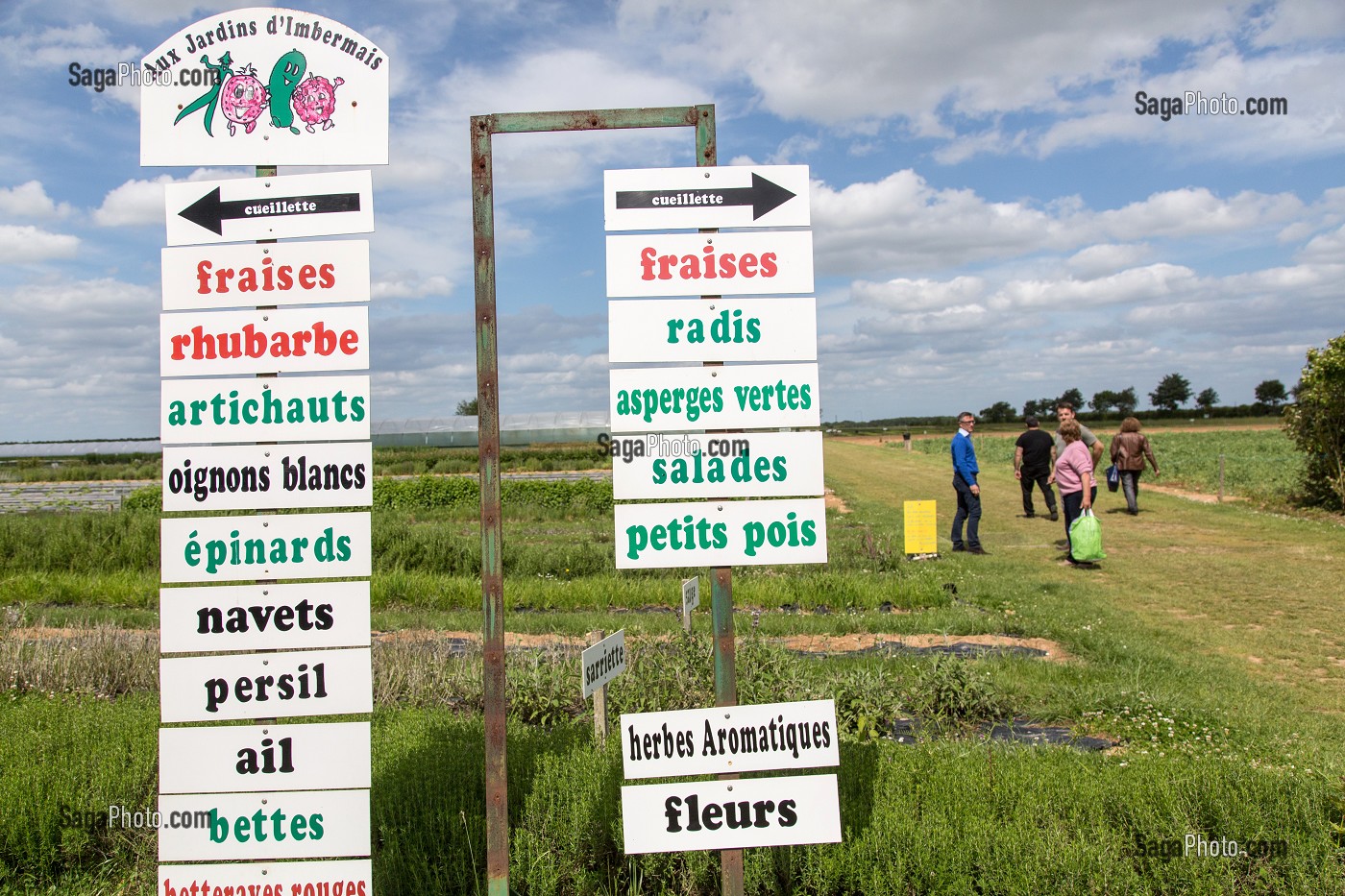 PANNEAUX DE LA  CUEILLETTE DE FRUITS ET LEGUMES SALADES EN PLEIN AIR, PRODUITS DE TERROIR DE TERRES D'EURE-ET-LOIR, LES JARDINS D’IMBERMAIS, EURE-ET-LOIR (28), FRANCE 