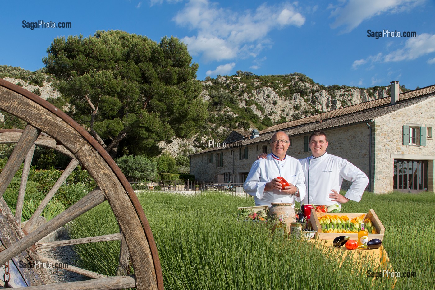 CHEF ETOILE ET MEILLEUR OUVRIER DE FRANCE (MOF) SERGE CHENET ET SON FILS MAXIME, PRODUITS DE TERROIR DE PROVENCE DANS LE CHAMP DE LAVANDE DEVANT LE RESTAURANT 'ENTRE VIGNE ET GARRIGUE', PUJAUT (30) GARD, LANGUEDOC-ROUSSILLON 
