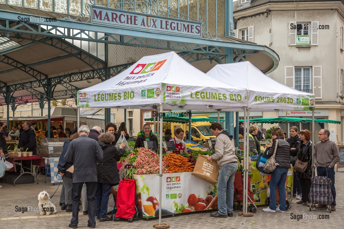 AUX PETITS LEGUMES (PRODUITS DE TERROIR BIO), MARCHE AUX LEGUMES COUVERT DE CHARTRES, (28) EURE-ET-LOIR, CENTRE, FRANCE 