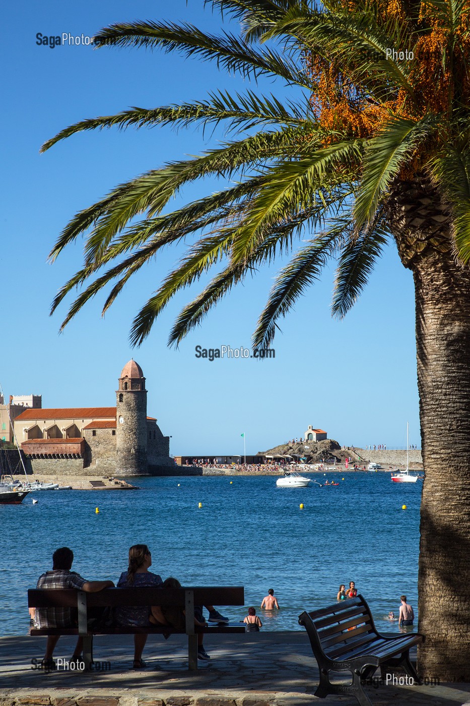 PALMIER ET TOURISTES DEVANT L'EGLISE NOTRE-DAME-DES-ANGES ET LA PETITE CHAPELLE, VILLE DE COLLIOURE, (66) PYRENEES-ORIENTALES, LANGUEDOC-ROUSSILLON, FRANCE 
