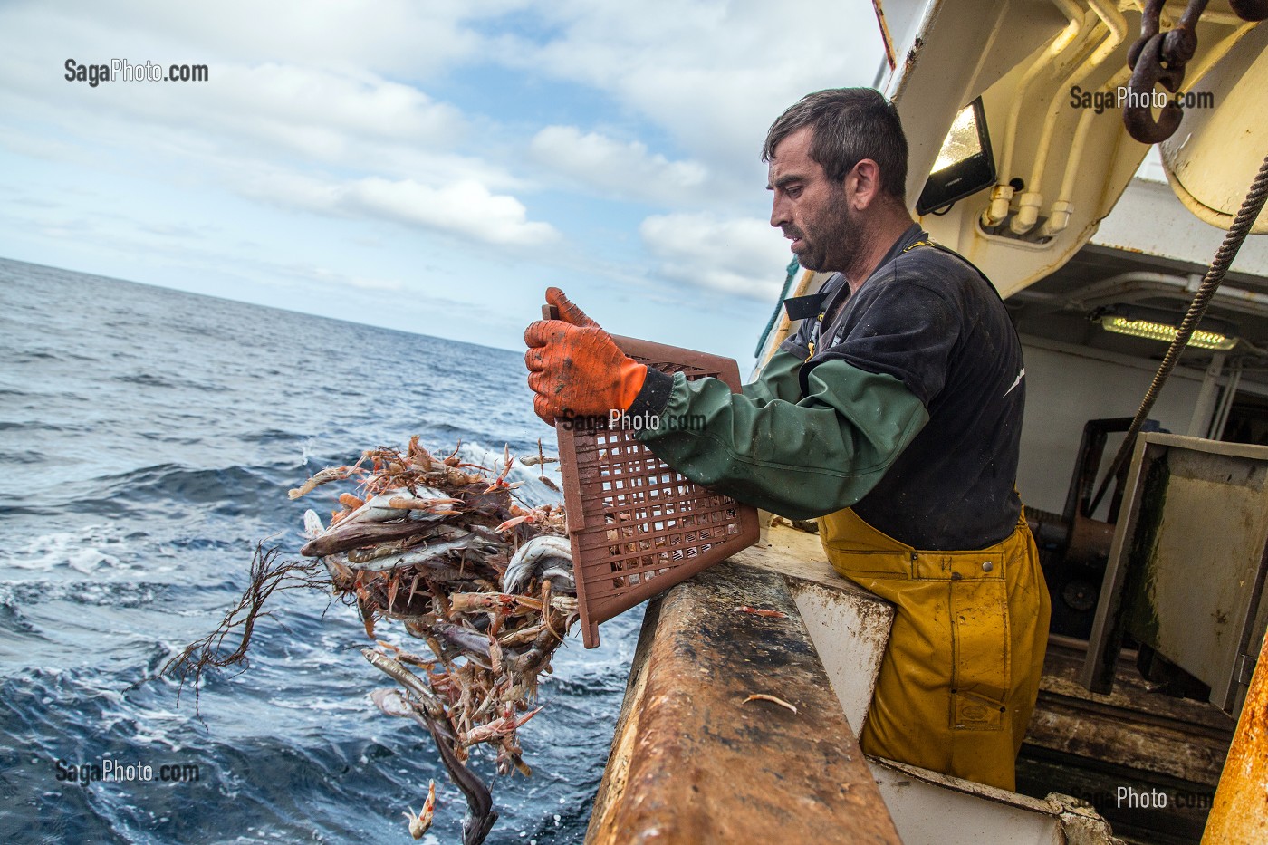 REMISE A L'EAU DES POISSONS HORS TAILLE OU SANS VALEUR MARCHANDE, PECHE EN MER SUR UN CHALUTIER A LA LANGOUSTINE 'LE QUENTIN-GREGOIRE' AU LARGE DES SABLES-D'OLONNE (85), FRANCE 
