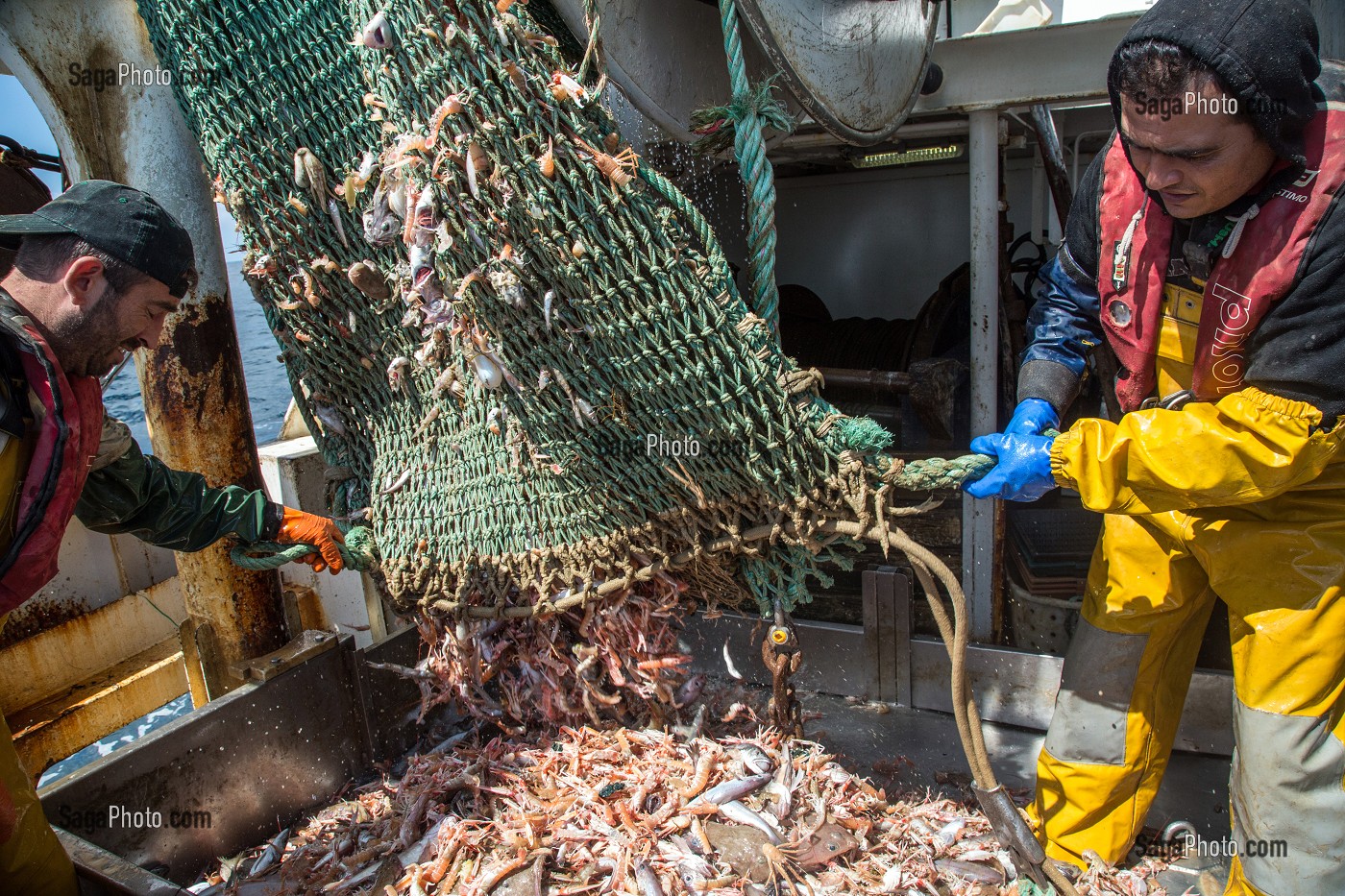 MARINS EN ACTION POUR DEVERSER LES POISSONS ET LANGOUSTINES VIVANTES DU FILET SUR LA TABLE DE TRI, PECHE EN MER SUR UN CHALUTIER A LA LANGOUSTINE 'LE QUENTIN-GREGOIRE' AU LARGE DES SABLES-D'OLONNE (85), FRANCE 