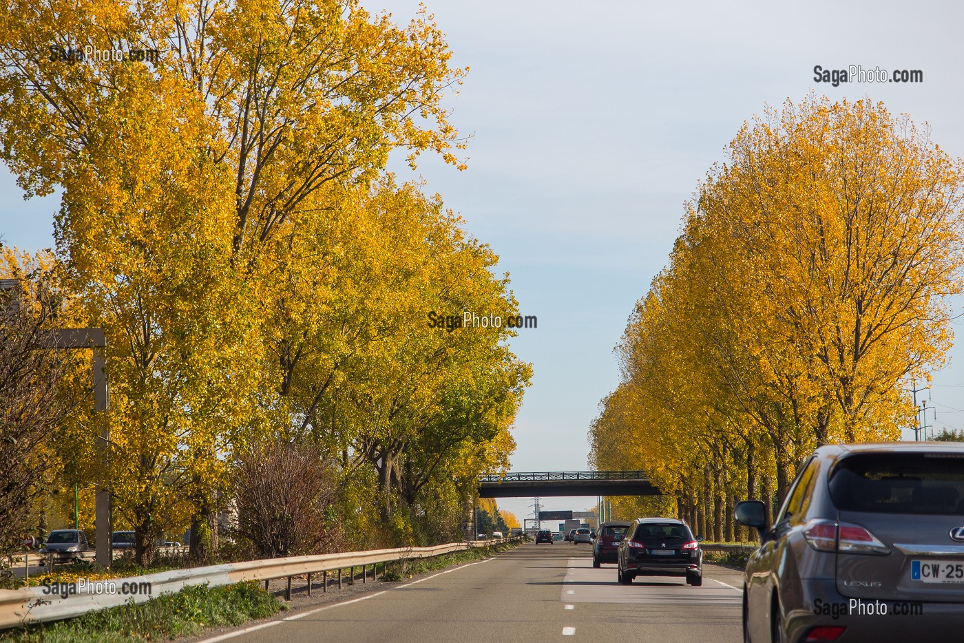ROUTE NATIONALE 12 (RN12) BORDEE D'ARBRES AU COULEURS D'AUTOMNE EN DIRECTION DE PARIS, PONTCHARTRAIN (78), FRANCE 