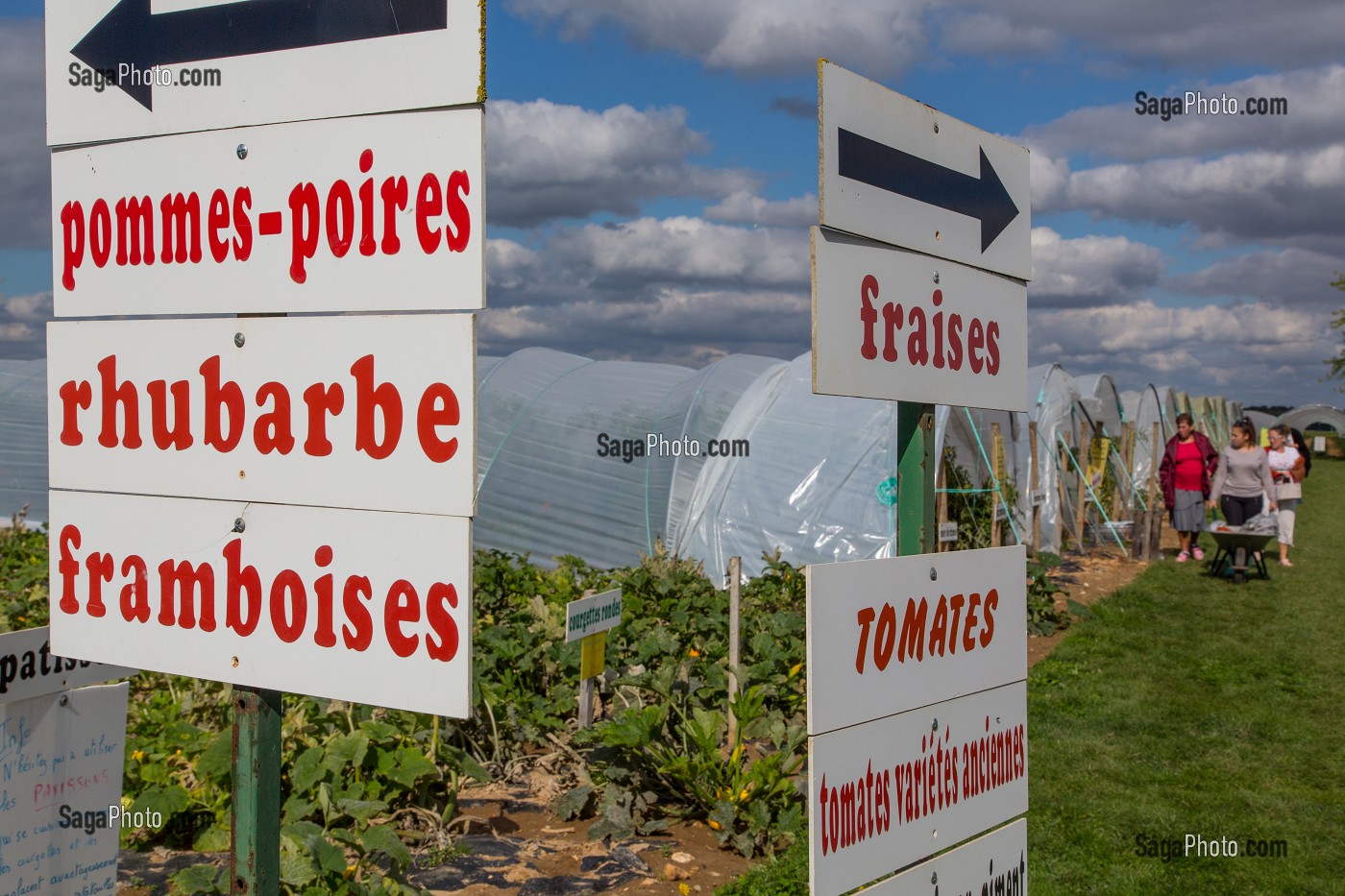 TABLEAU DES FRUITS ET LEGUMES DE SAISON DE LA CUEILLETTE DES JARDINS D'IMBERMAIS, IMBERMAIS (28), FRANCE 
