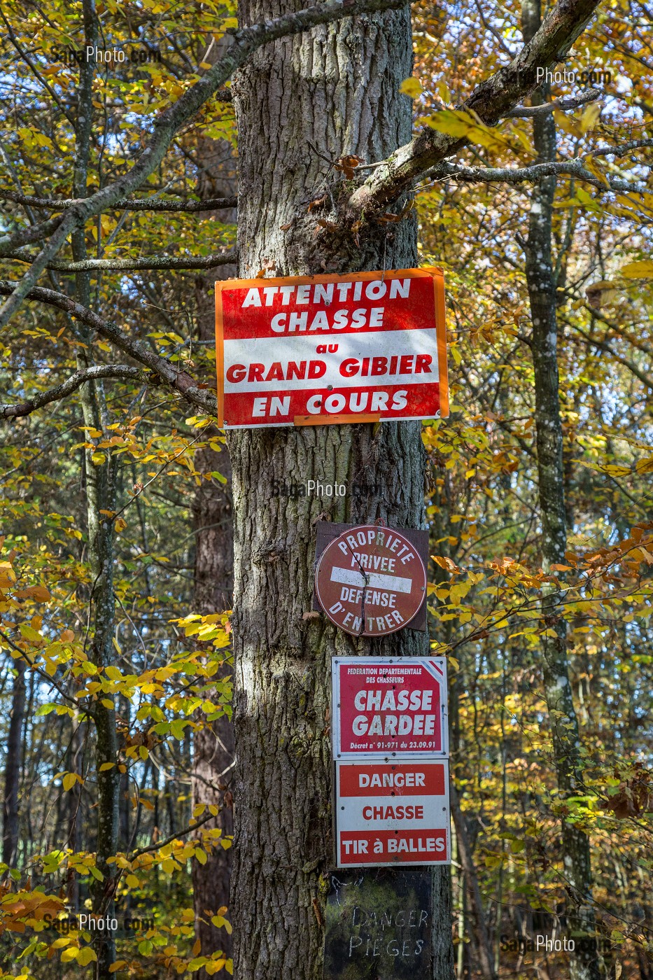 PANNEAUX DE CHASSE EN COURS (ATTENTION CHASSE DANGER, GRAND GIBIER, TIR A BALLES, PROPRIETE PRIVEE, PIEGES, CHASSE GARDEE), FORET DE CONCHES (27), FRANCE 