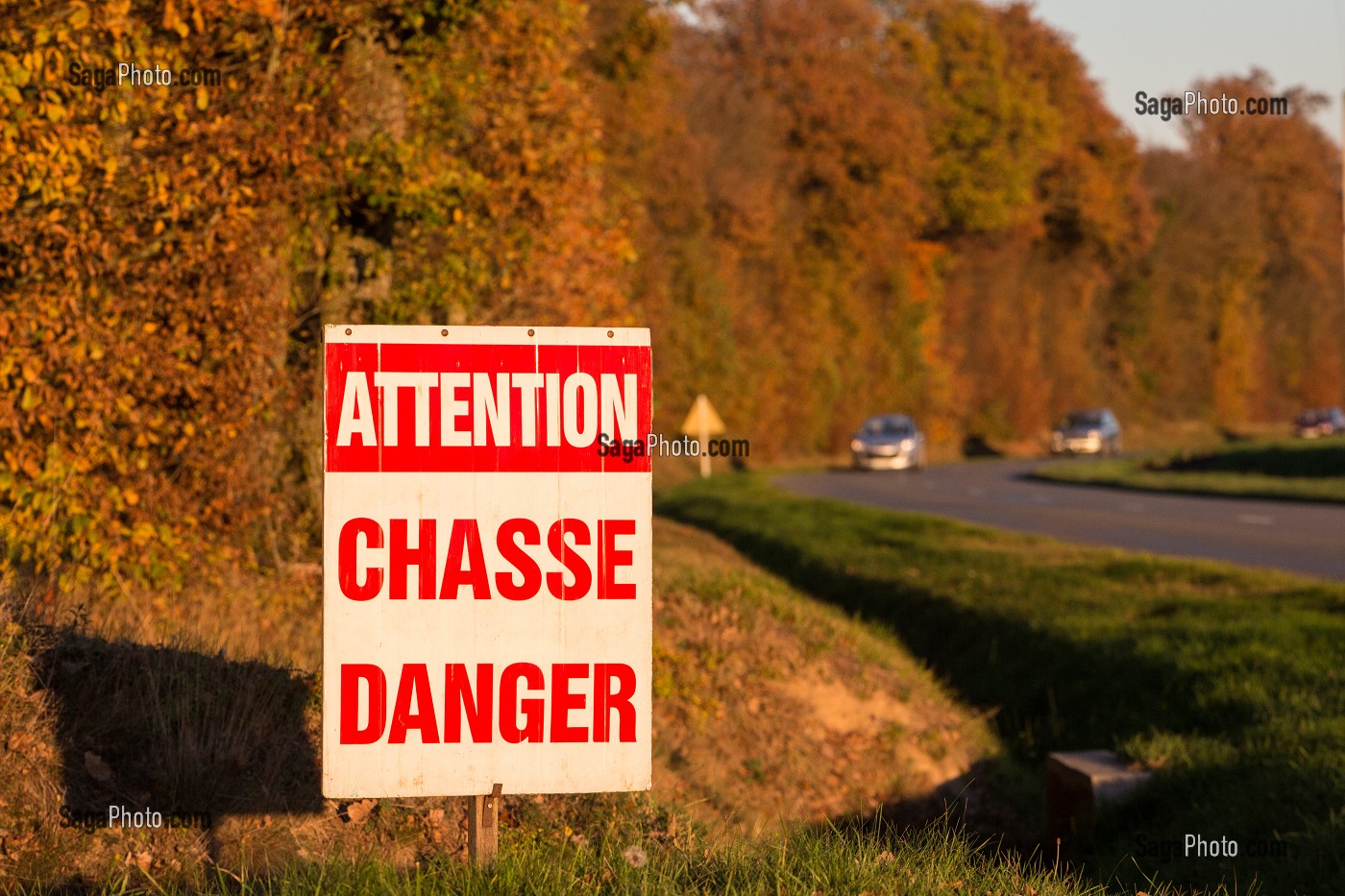 PANNEAU DE CHASSE EN COURS EN BORDURE DE ROUTE (ATTENTION CHASSE DANGER), FORET DE CONCHES (27), FRANCE 