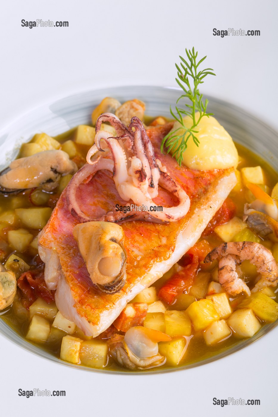 ROUGET COMME UNE PAELLA AUX PANAIS, RECETTE DE LAURENT CLEMENT, LIVRE DES RECETTES DE TERROIR EN EURE-ET-LOIR (28), FRANCE 