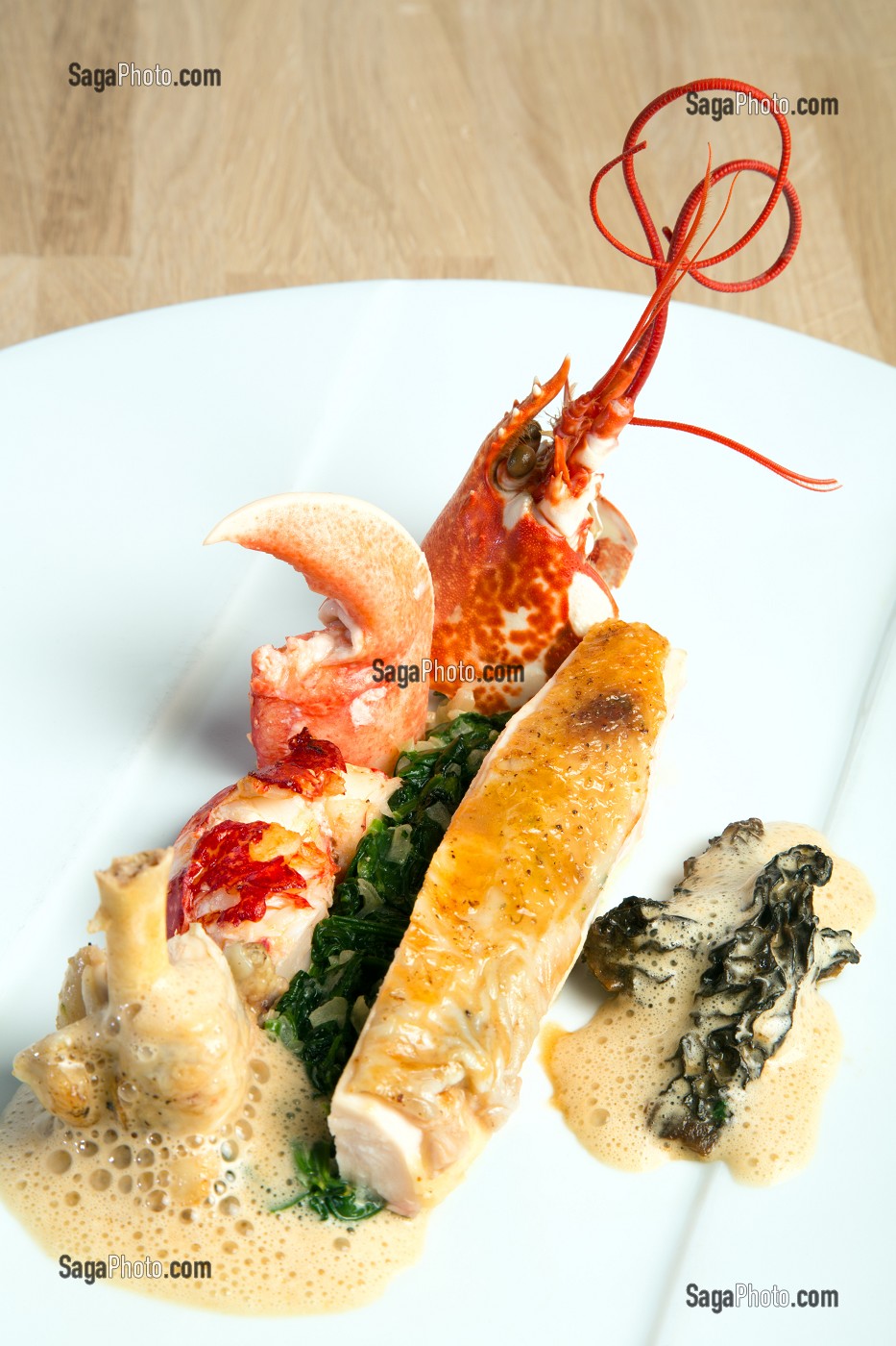 FRICASSEE DE VOLAILLE ET HOMARD AUX MORILLES, RECETTE DE LAURENT CLEMENT, LIVRE DES RECETTES DE TERROIR EN EURE-ET-LOIR (28), FRANCE 