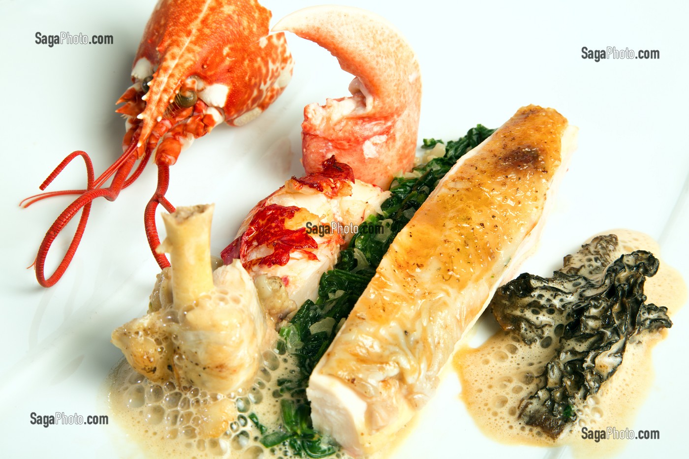FRICASSEE DE VOLAILLE ET HOMARD AUX MORILLES, RECETTE DE LAURENT CLEMENT, LIVRE DES RECETTES DE TERROIR EN EURE-ET-LOIR (28), FRANCE 