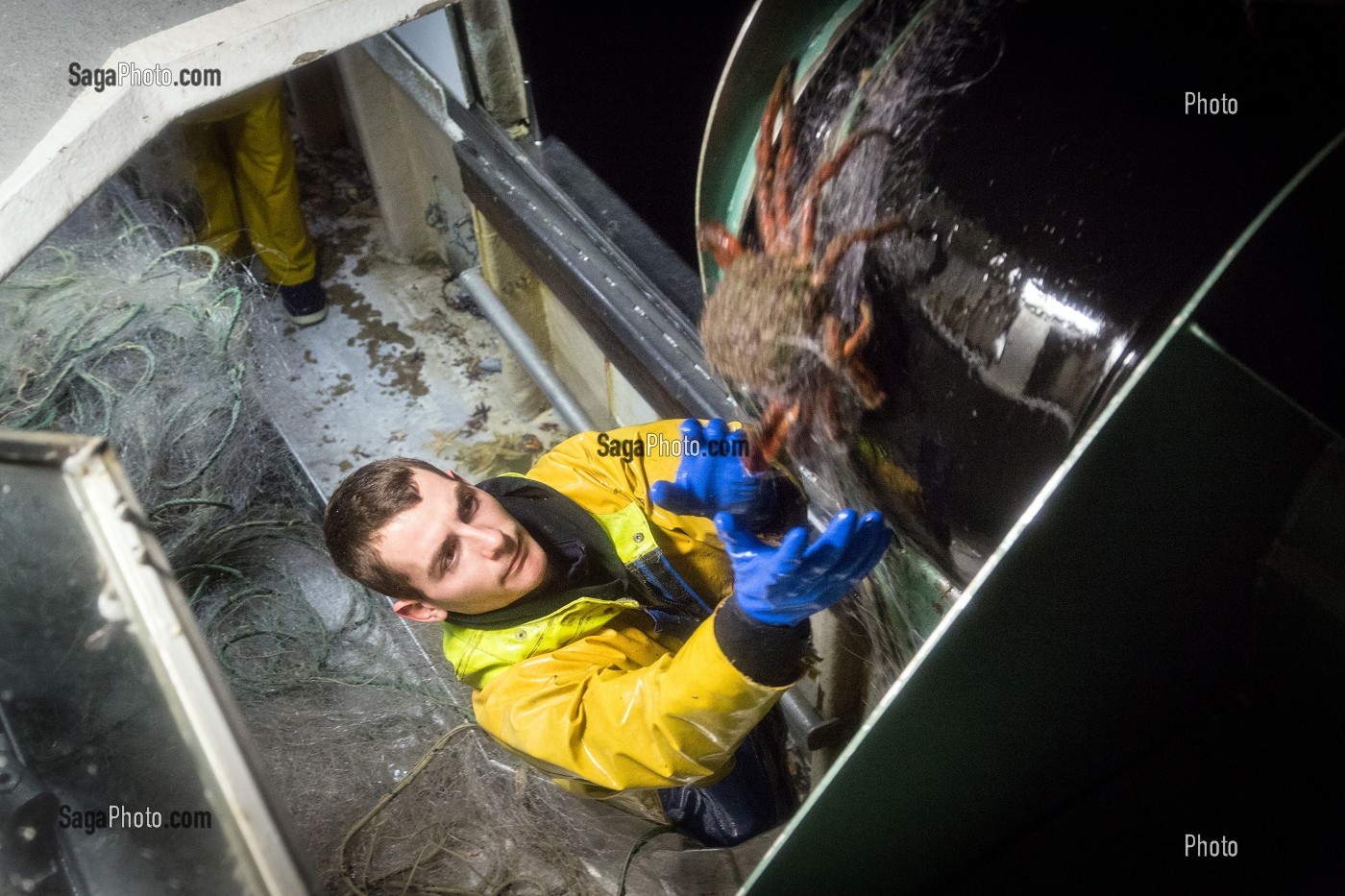 MARIN DECROCHANT UNE ARAIGNEE PRISE AU FILET SUR LE TREUIL, PECHE EN MER SUR LE FILEYEUR 'LES OCEANES' AU LARGE DE LORIENT (56), BRETAGNE, FRANCE 