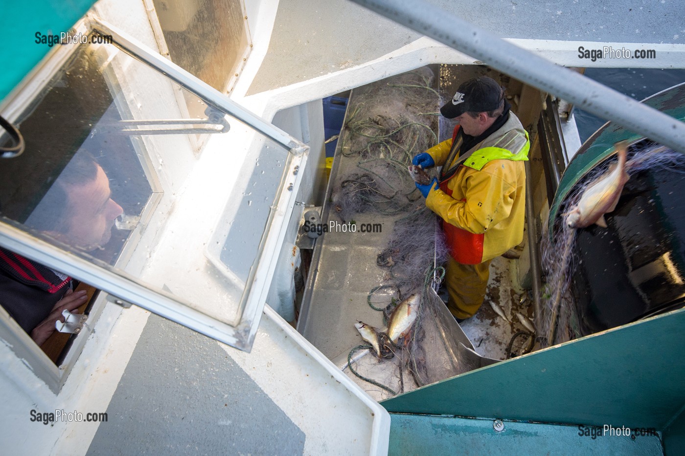 TREUIL ET FILET AVEC UN MARIN SUR LA TABLE DE TRI DES POISSONS (TACAUDS), PECHE EN MER SUR LE FILEYEUR 'LES OCEANES' AU LARGE DE LORIENT (56), BRETAGNE, FRANCE 