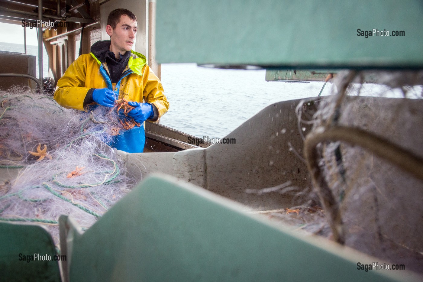 MARIN AVEC UNE ARAIGNEE PRISE AU FILET DEVANT LE TREUIL, PECHE EN MER SUR LE FILEYEUR 'LES OCEANES' AU LARGE DE LORIENT (56), BRETAGNE, FRANCE 