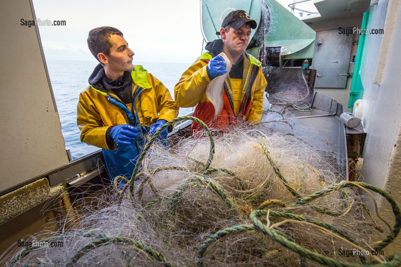 MARINS DEVANT LA TABLE DE TRI DES POISSONS, PECHE EN MER SUR LE FILEYEUR 'LES OCEANES' AU LARGE DE LORIENT (56), BRETAGNE, FRANCE 