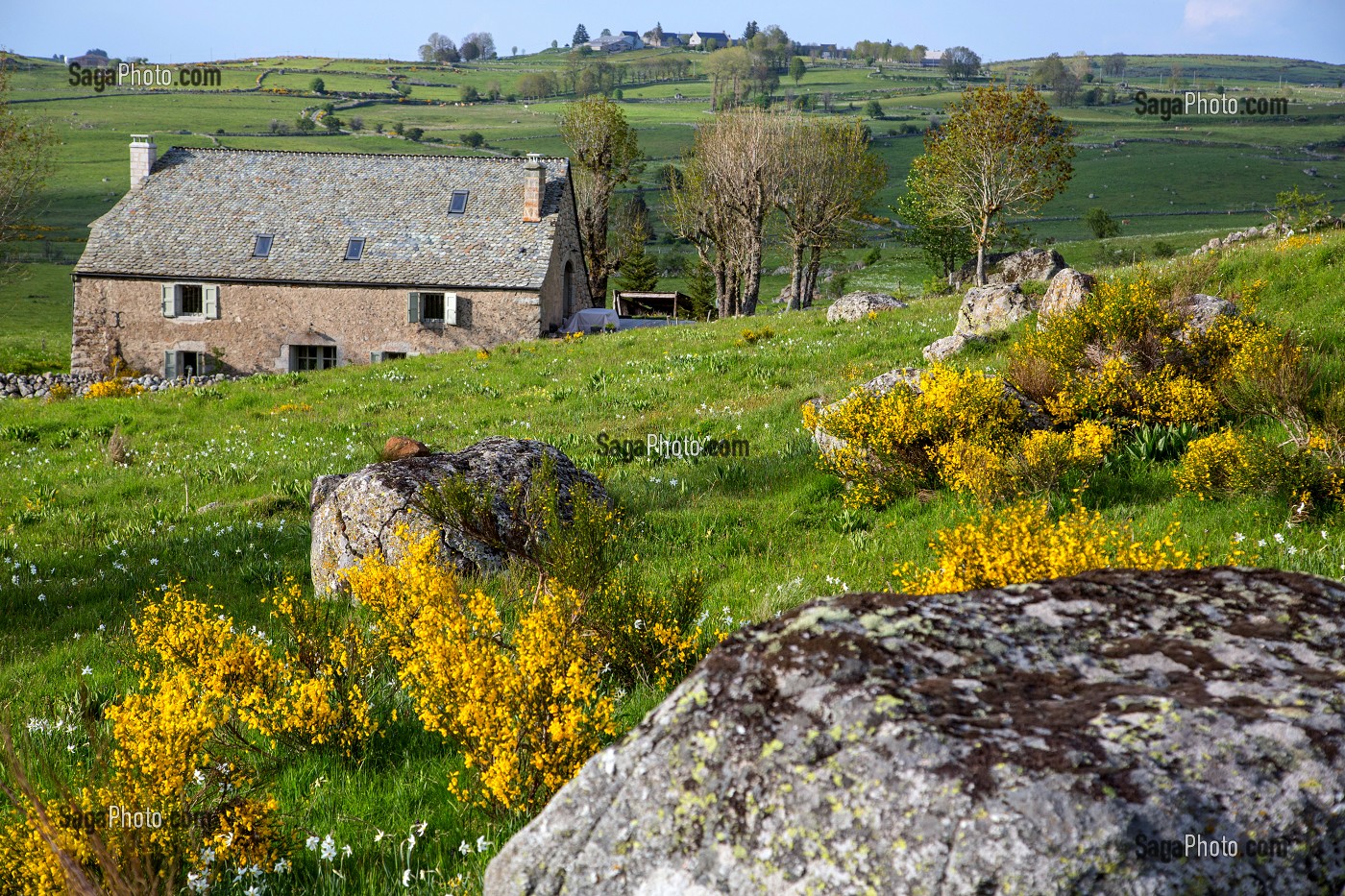 BURON, HABITATION INDIVIDUELLE DANS UN BATIMENT AGRICOLE, PLATEAU DE L'AUBRAC, PRES DE NASBINALS, LOZERE (48), FRANCE 