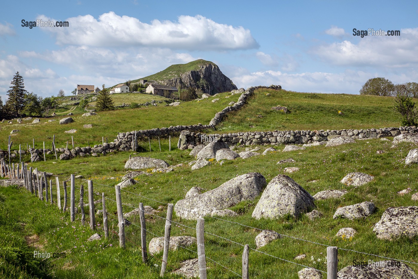 PAYSAGE TYPIQUE DU PLATEAU DE L'AUBRAC ENTRE MALBOUZON ET NASBINALS, LOZERE (48), FRANCE 