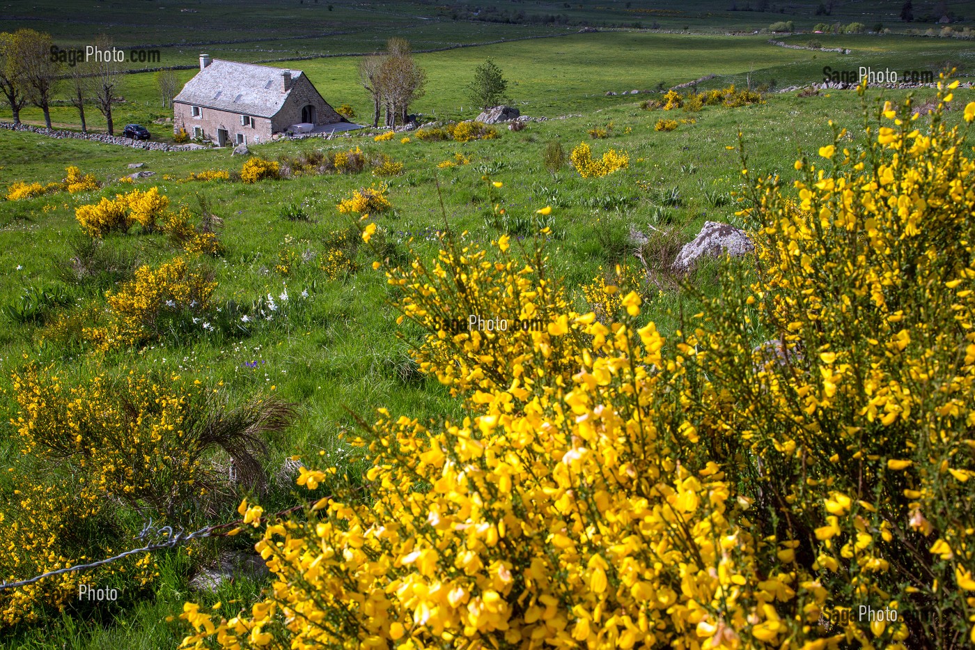 BURON, HABITATION INDIVIDUELLE DANS UN BATIMENT AGRICOLE, PLATEAU DE L'AUBRAC, NASBINALS, LOZERE (48), FRANCE 